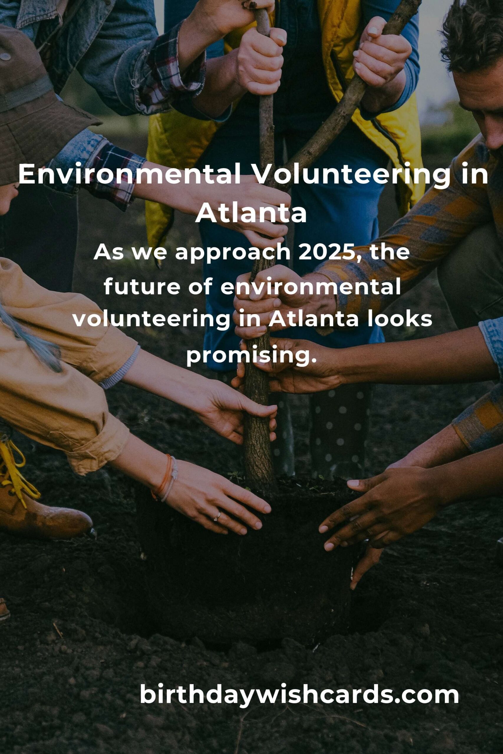 Discover the Impact of Environmental Volunteering in Atlanta