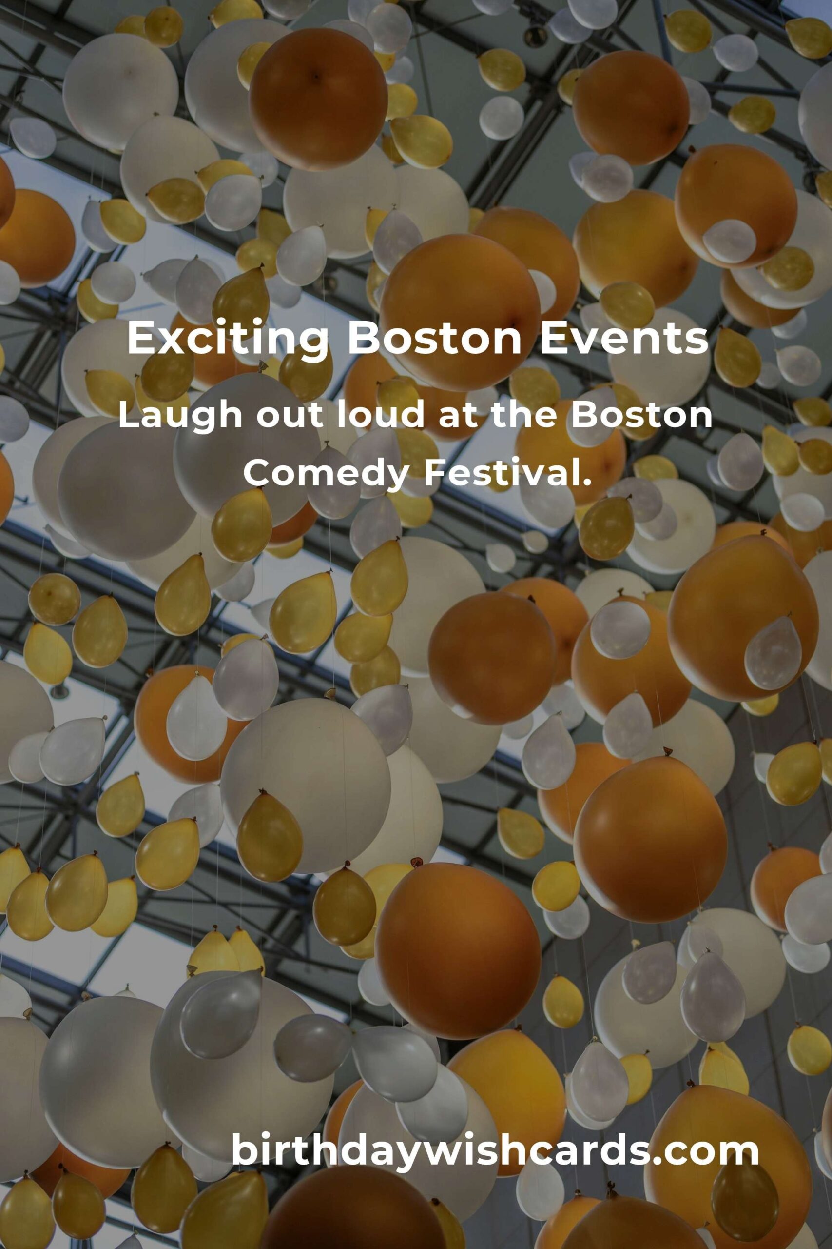 Discover the Top Local Events in Boston This Weekend