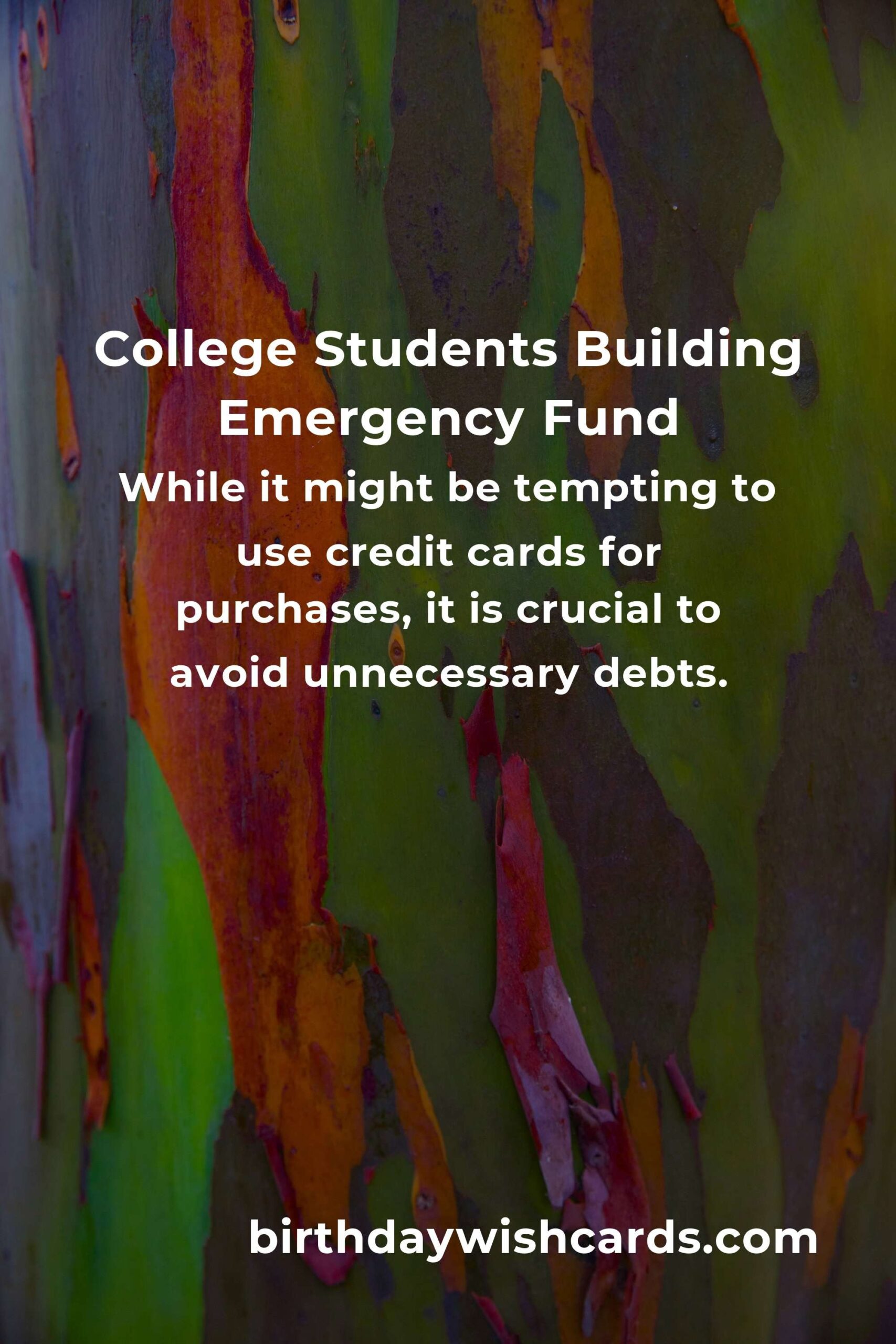 Effective Emergency Fund Tips for College Students
