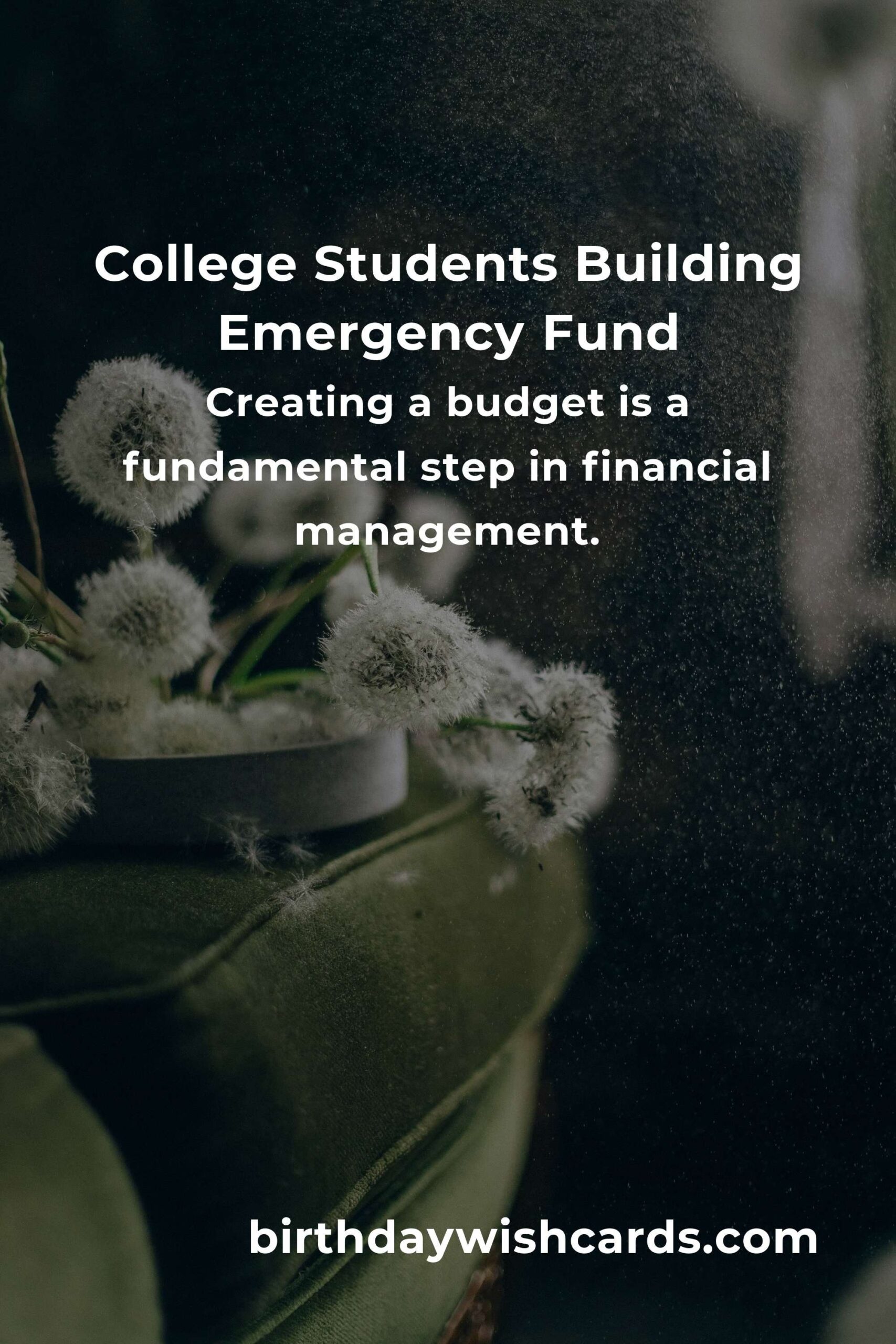 Effective Emergency Fund Tips for College Students