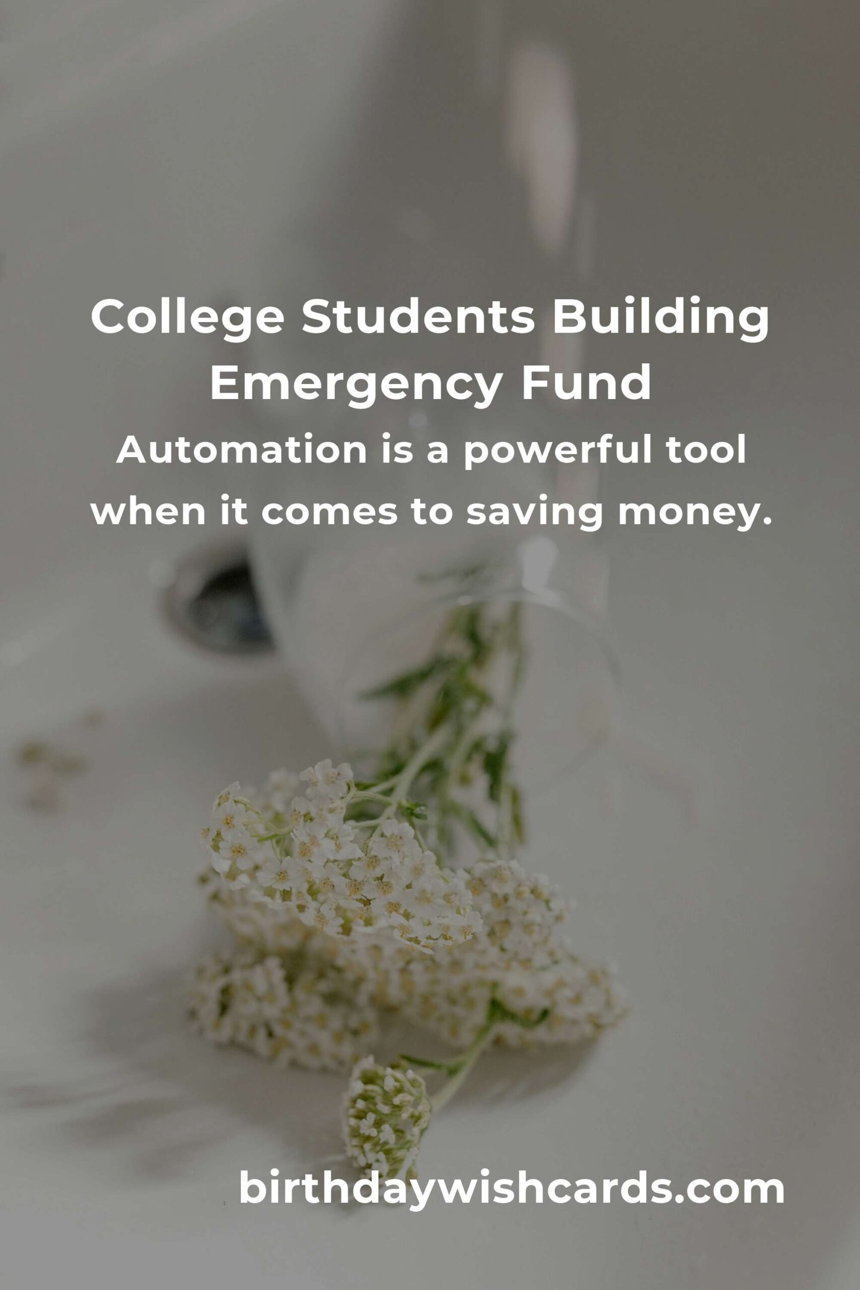 Effective Emergency Fund Tips for College Students