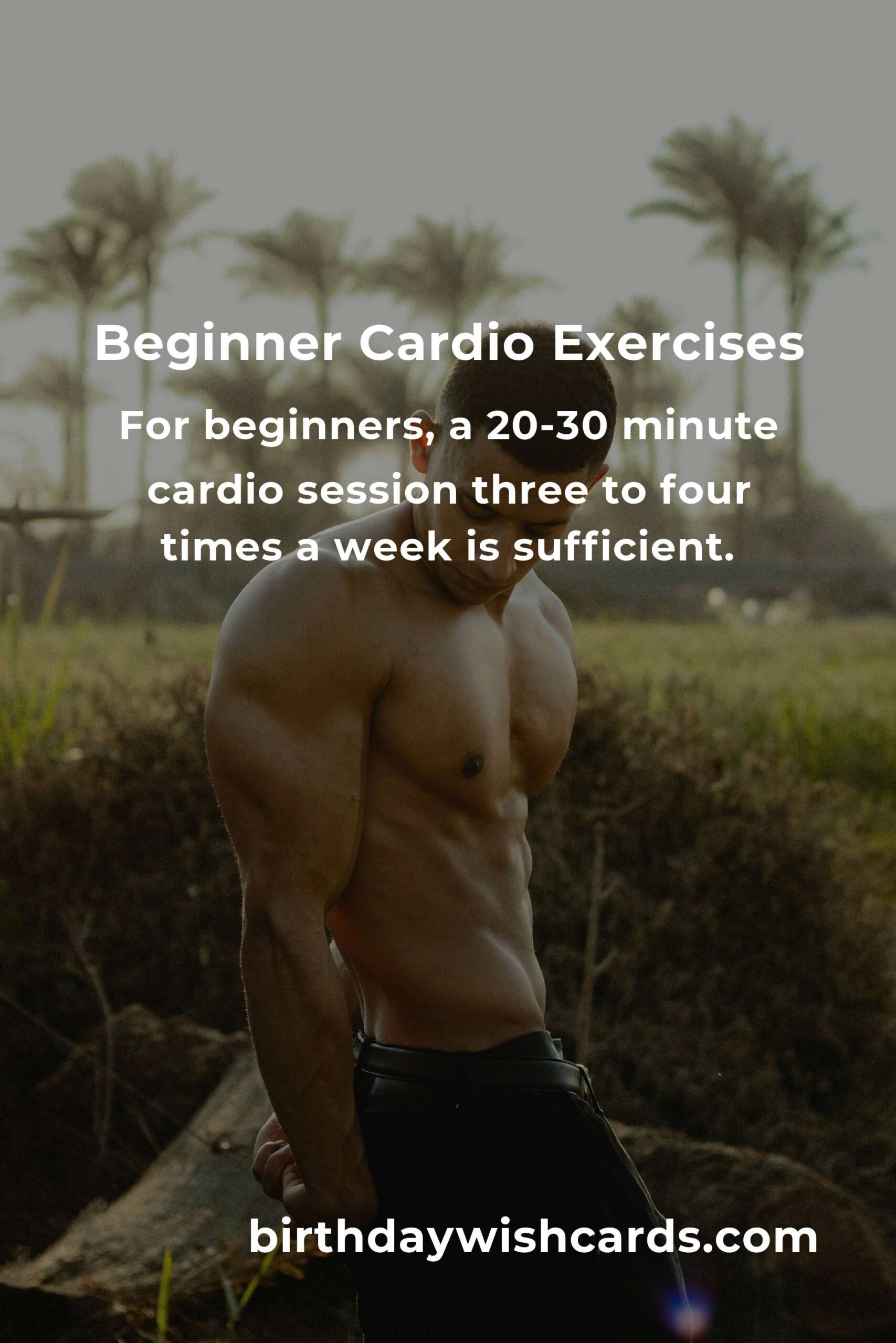 Effective Home Cardio Workouts Routine for Beginners