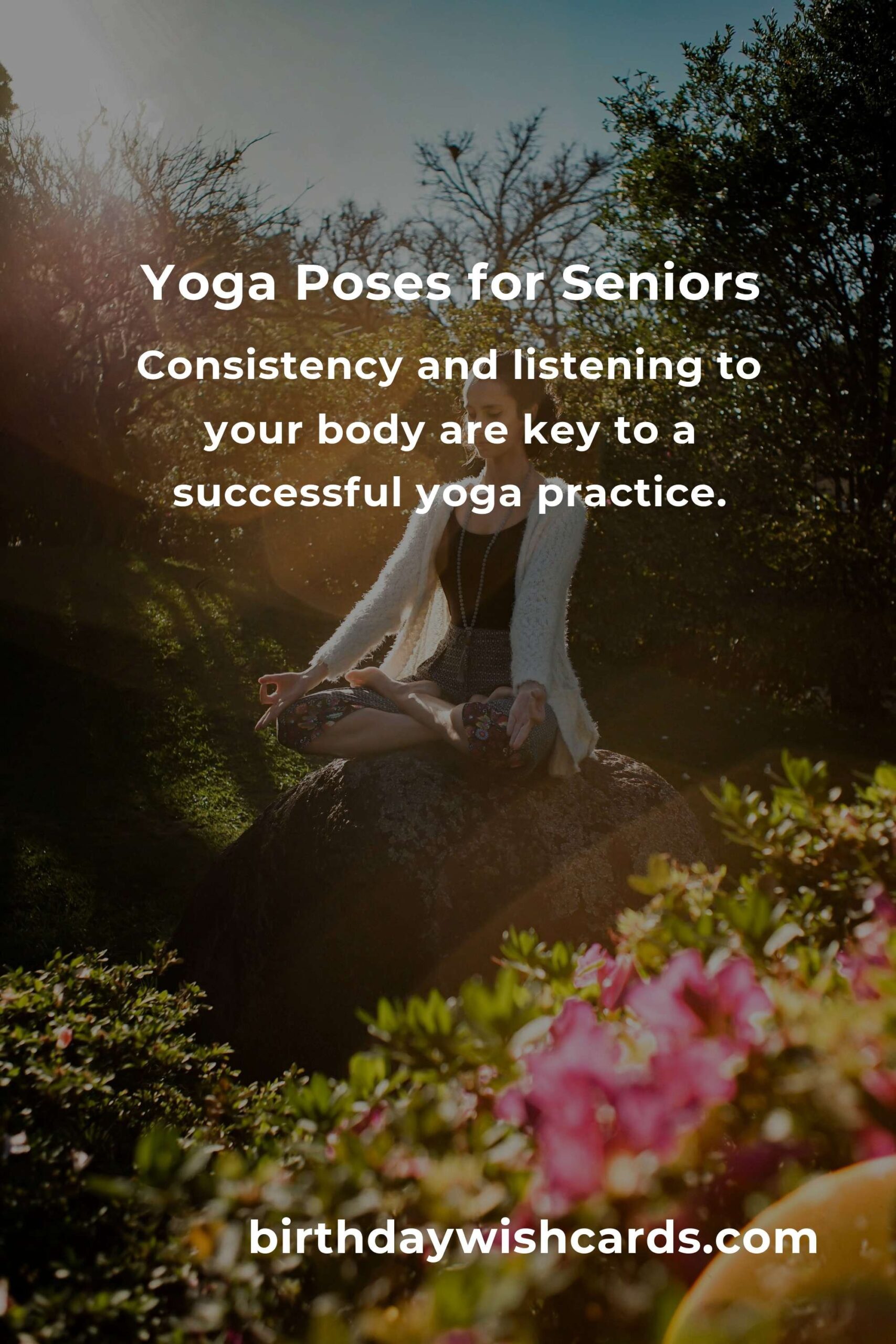 Effective Home Yoga Routine for Seniors