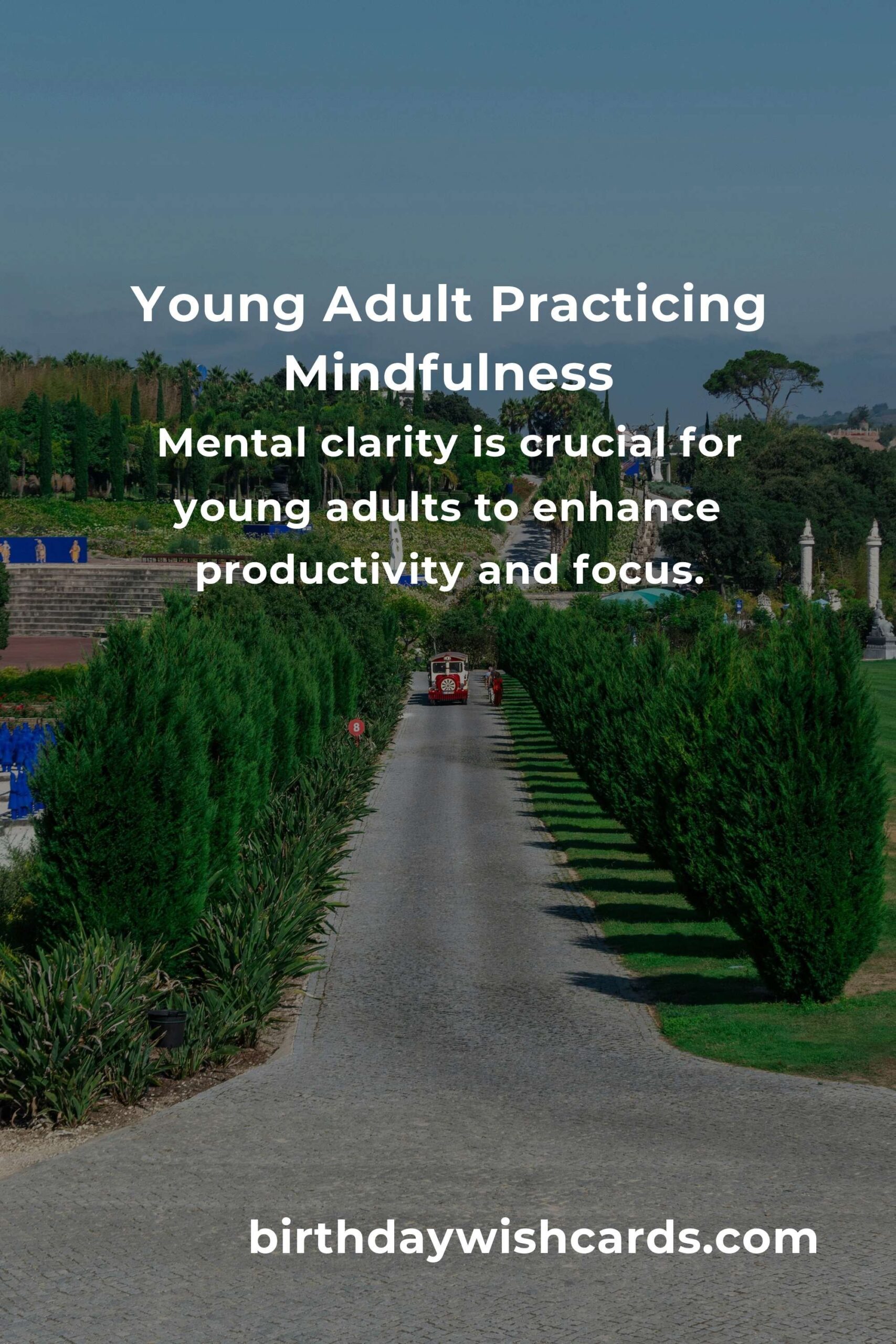 Effective Strategies to Improve Mental Clarity for Young Adults