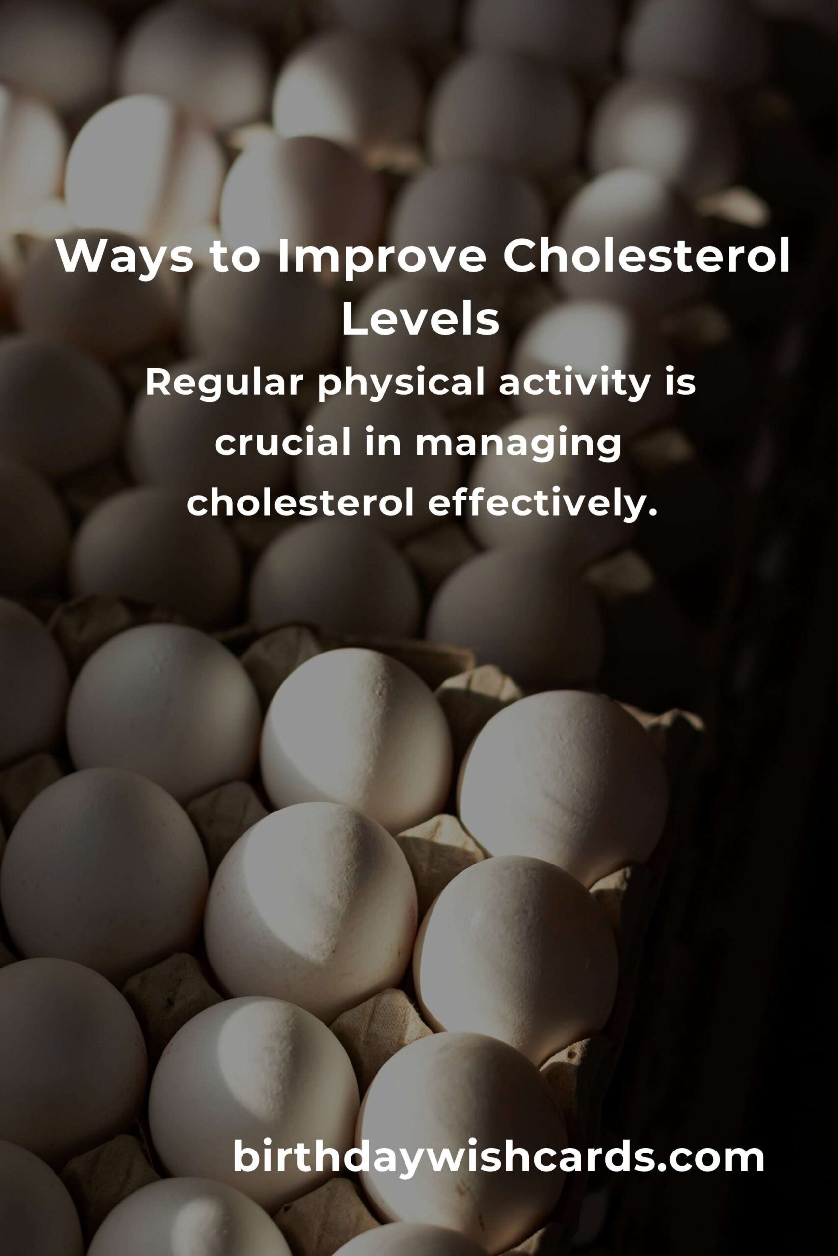 Effective Ways to Improve Cholesterol Levels for Students