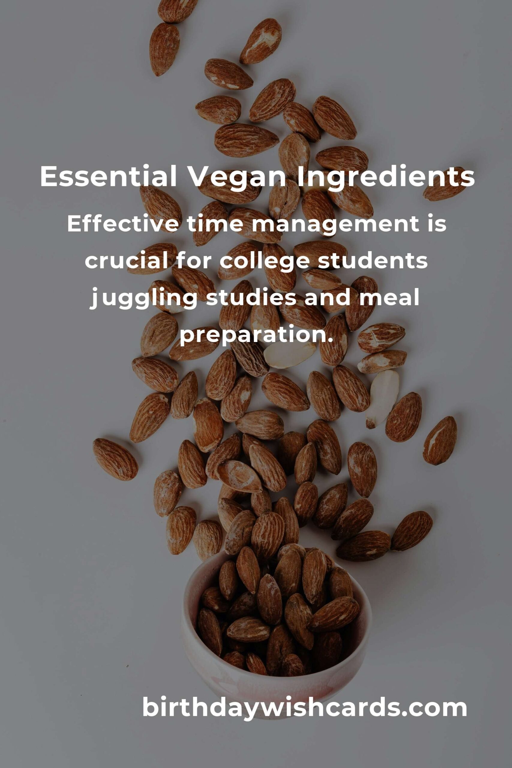 Essential Vegan Meals for College Students: A Complete Guide
