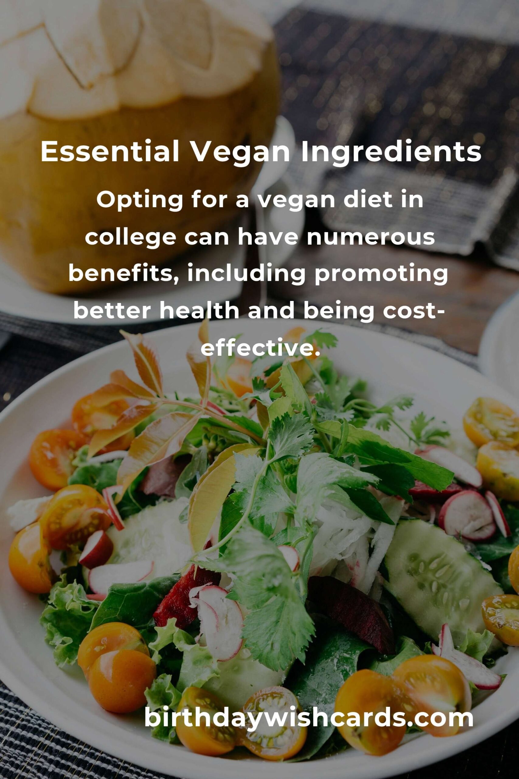 Essential Vegan Meals for College Students: A Complete Guide
