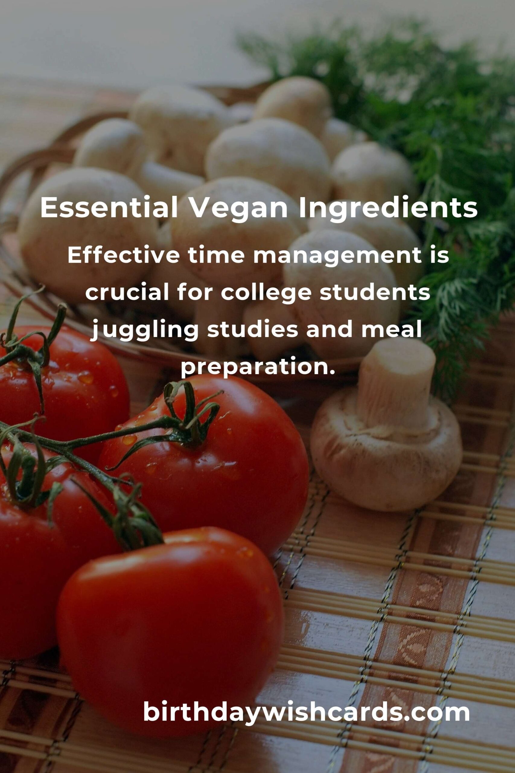 Essential Vegan Meals for College Students: A Complete Guide