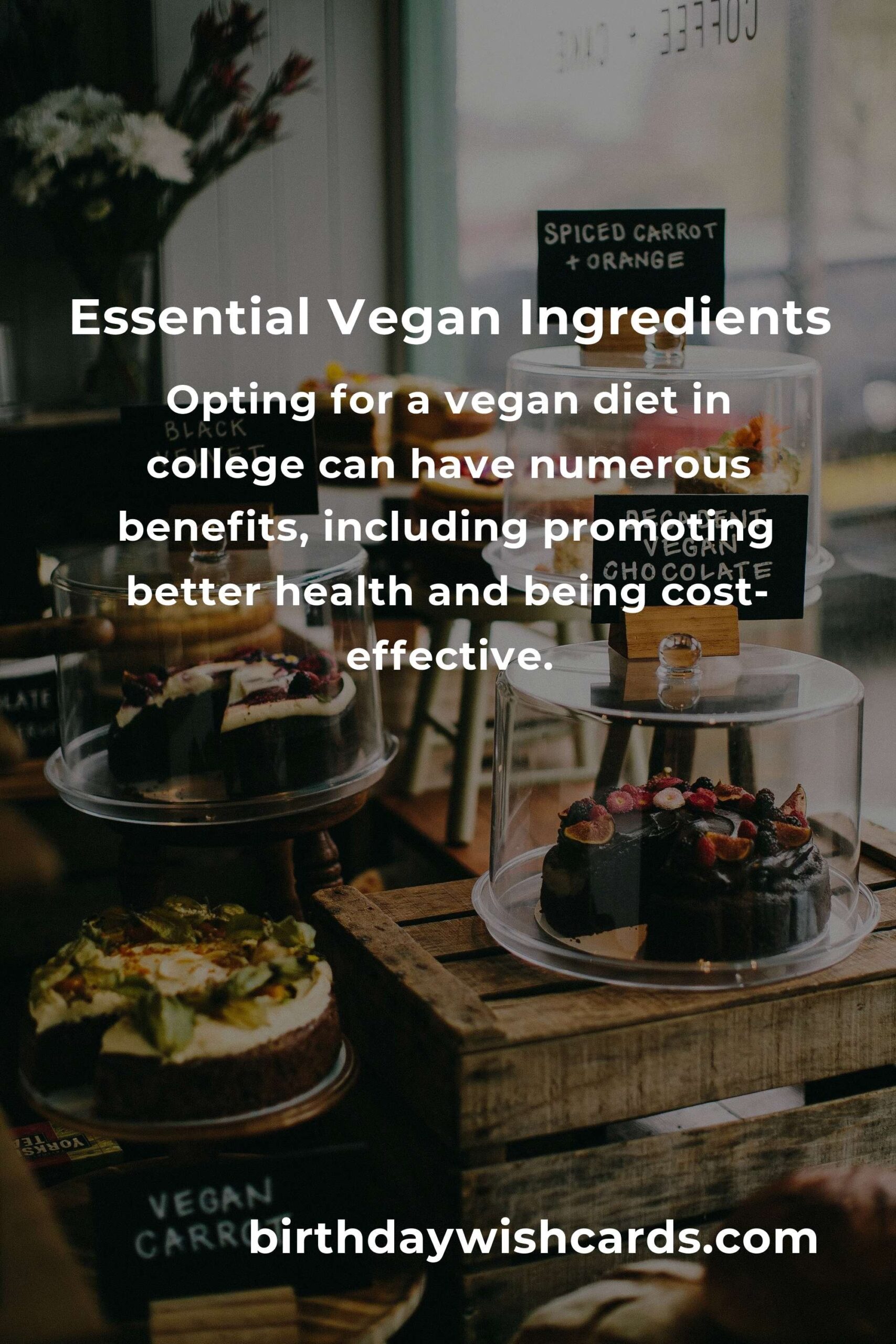 Essential Vegan Meals for College Students: A Complete Guide