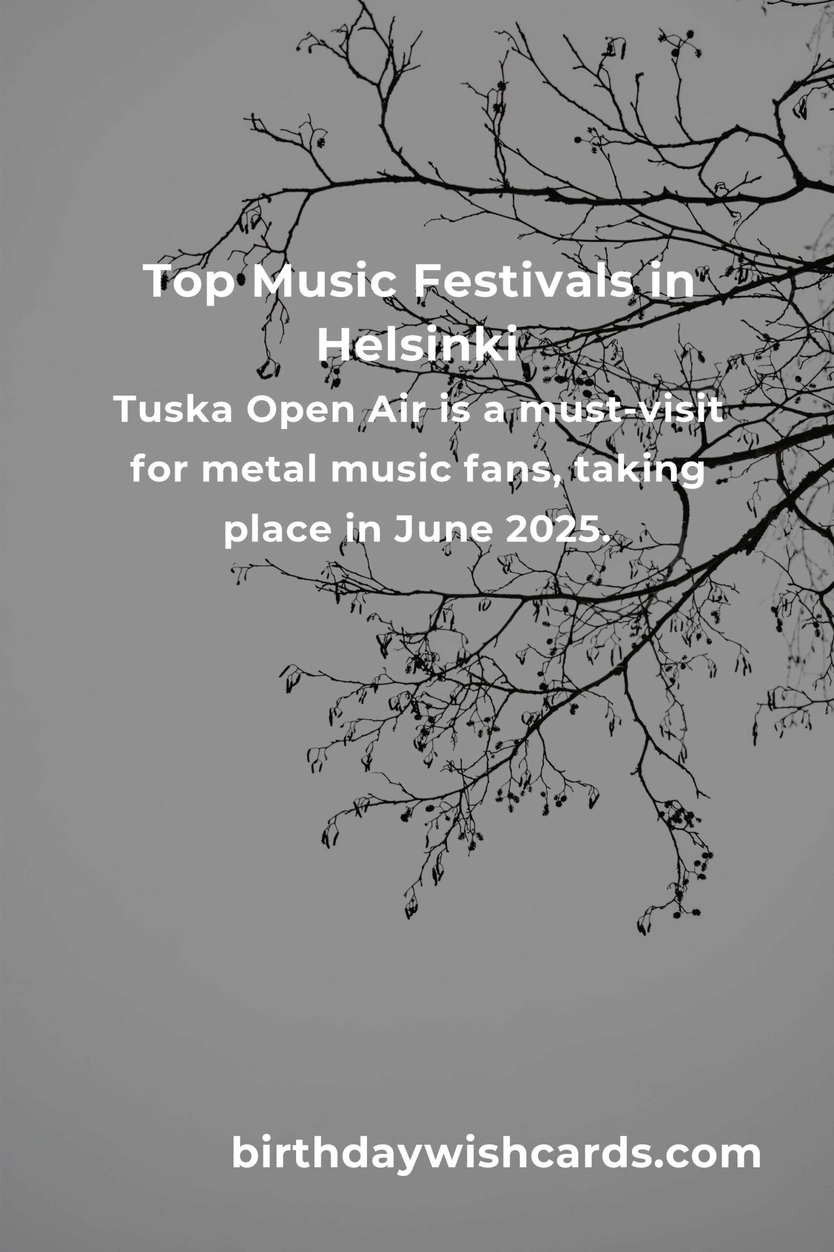Exciting Music Festivals in Helsinki for 2025: A Must-Visit Guide