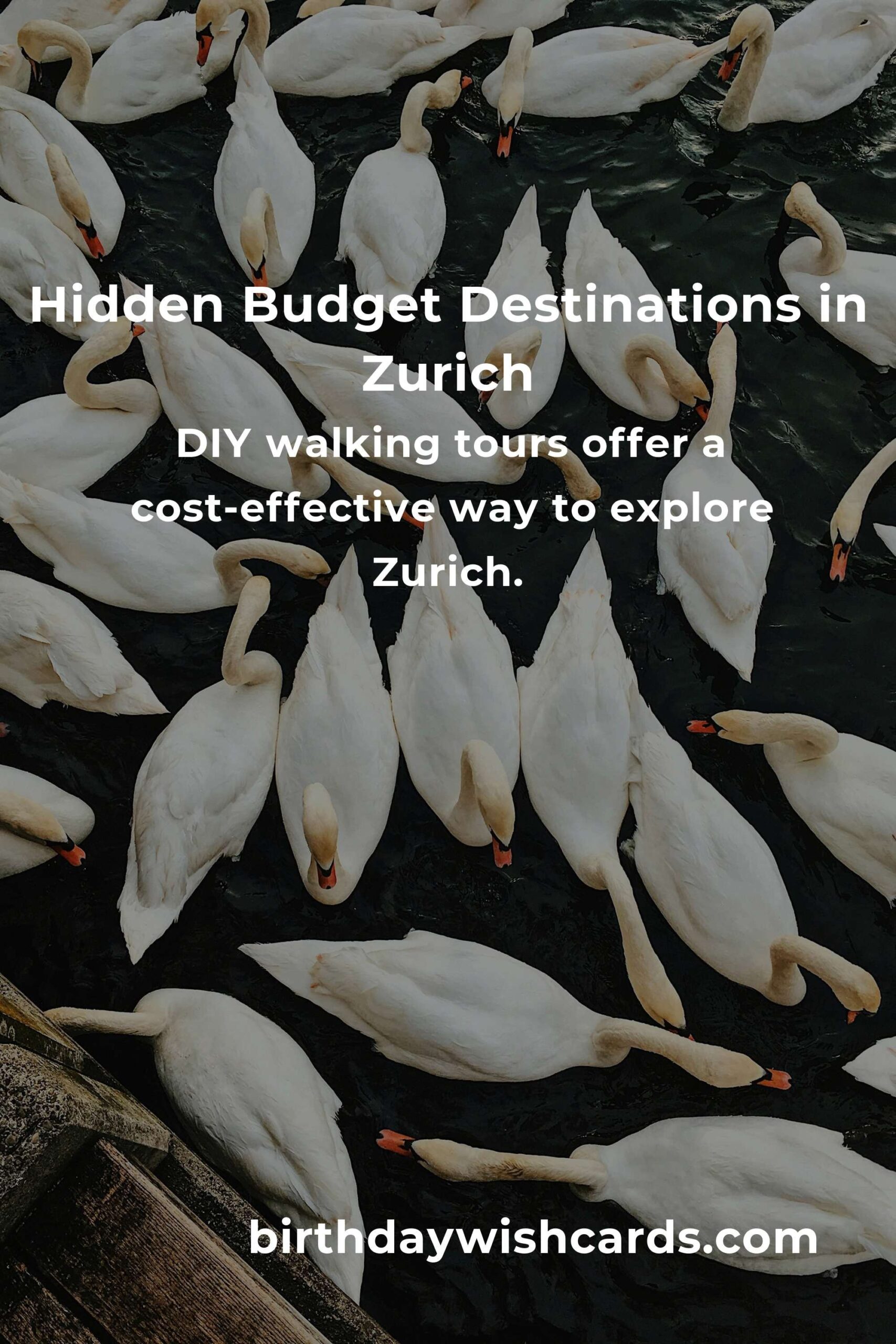 Explore Hidden Budget Destinations in Zurich You Must See