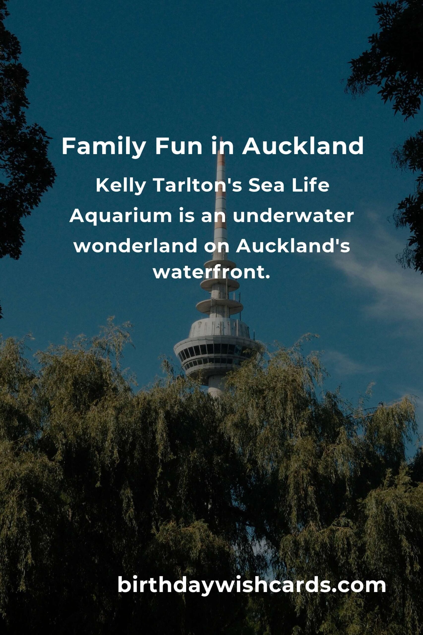 Family Destinations in Auckland: Ultimate Guide for Memorable Experiences