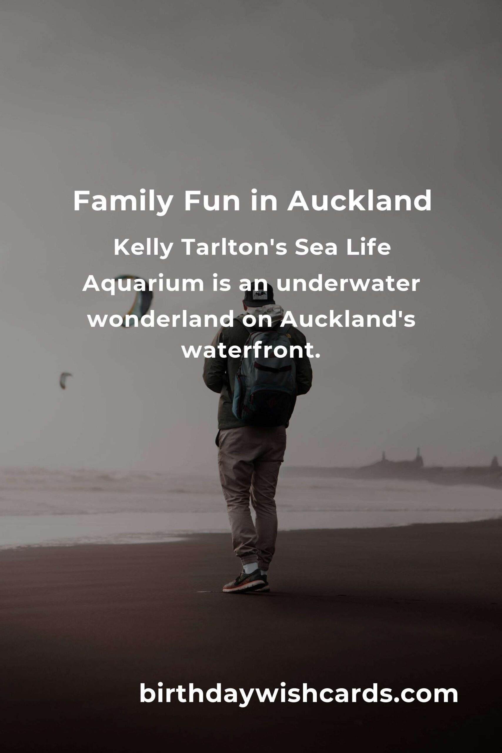 Family Destinations in Auckland: Ultimate Guide for Memorable Experiences