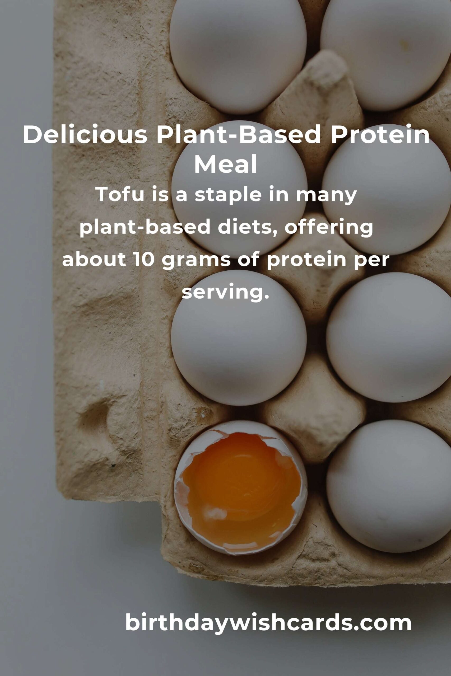 Healthy Plant-Based Protein Options for College Students