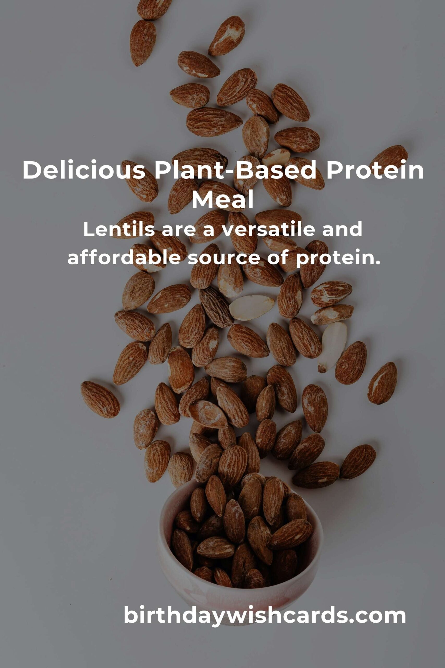 Healthy Plant-Based Protein Options for College Students