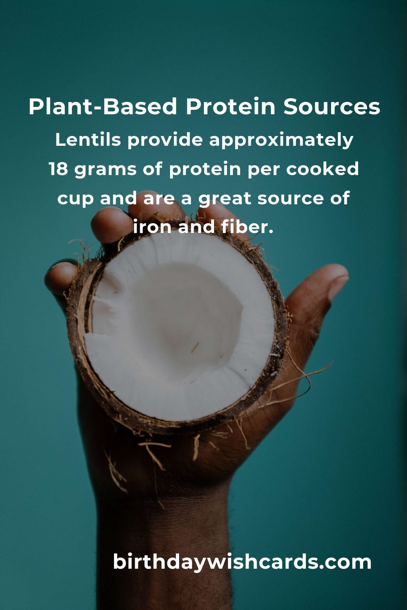 Healthy Plant-Based Protein Options for Small Business Owners
