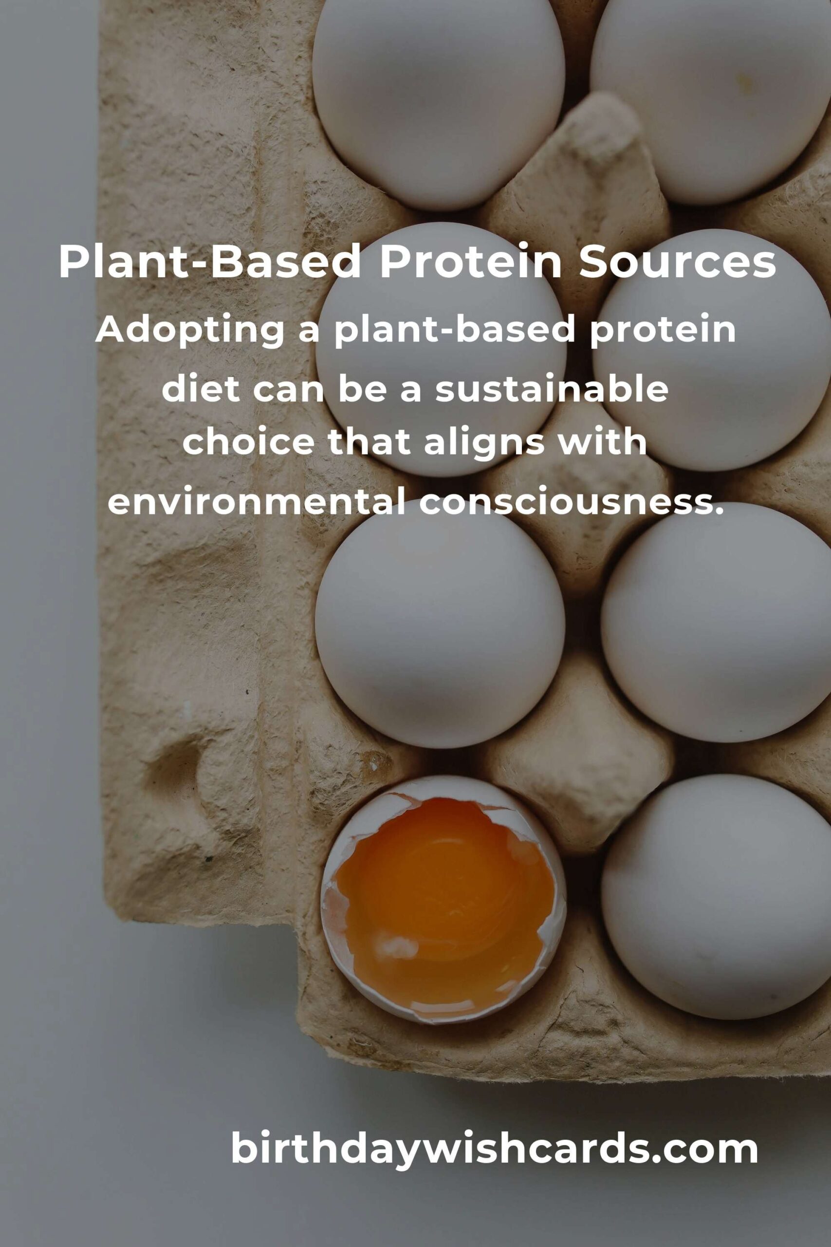 Healthy Plant-Based Protein Options for Small Business Owners
