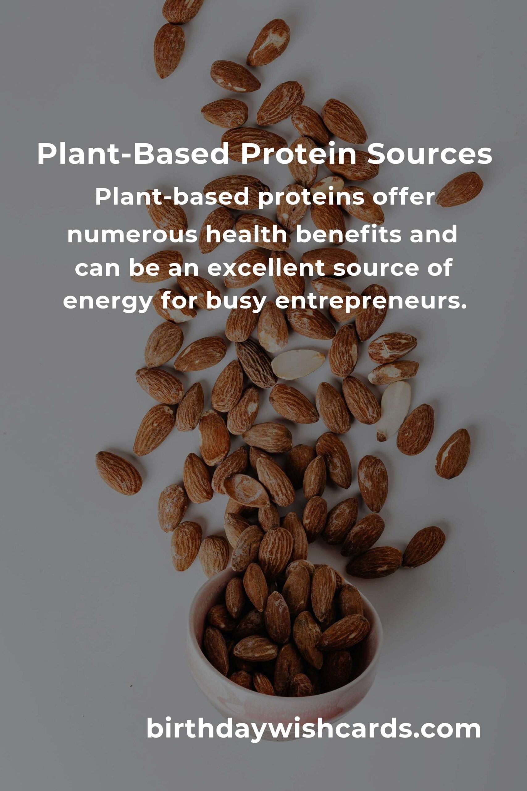 Healthy Plant-Based Protein Options for Small Business Owners