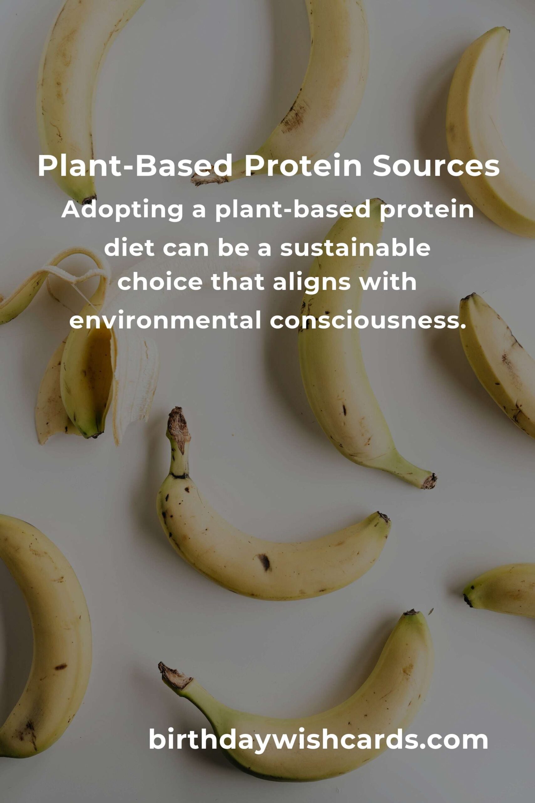Healthy Plant-Based Protein Options for Small Business Owners