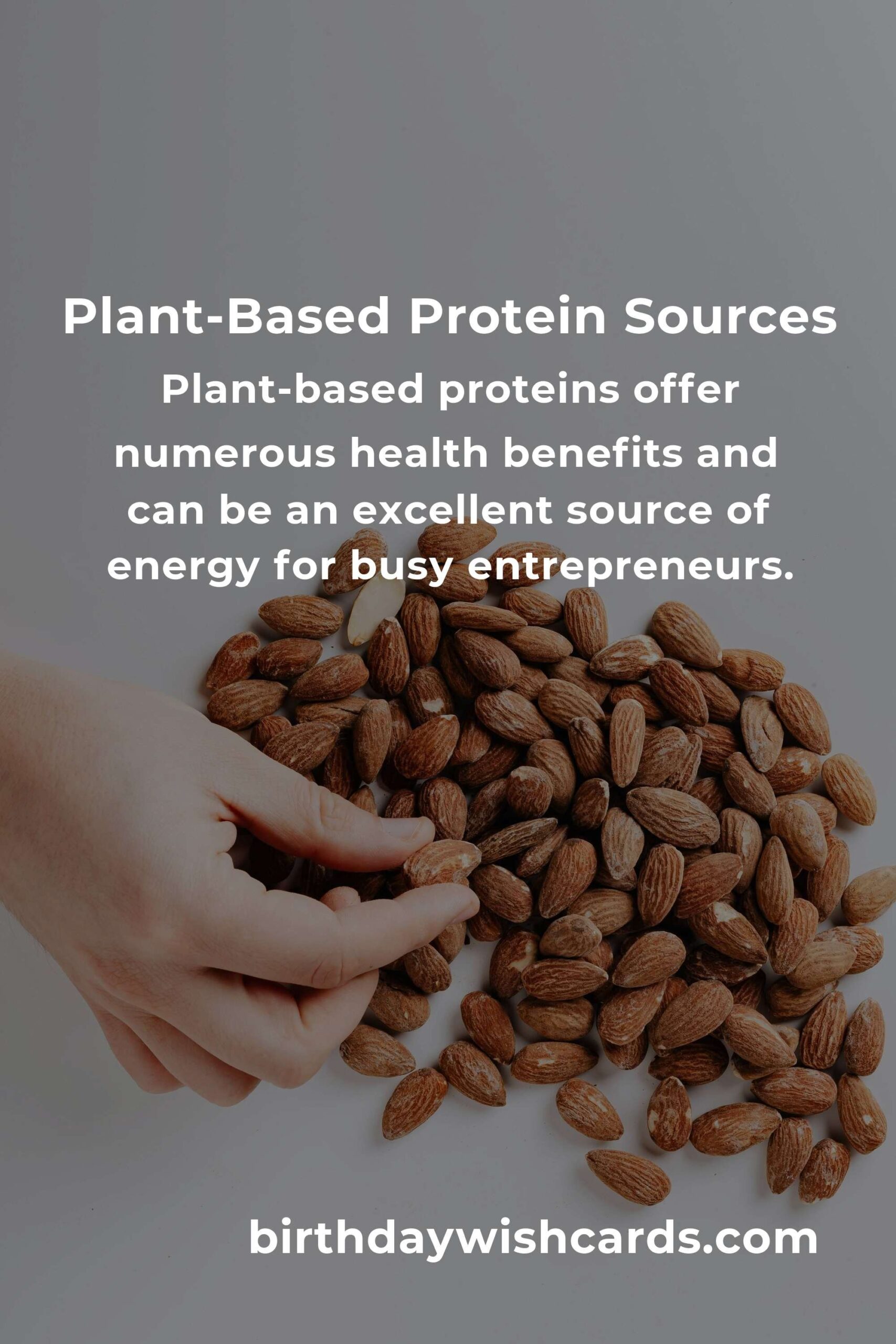 Healthy Plant-Based Protein Options for Small Business Owners