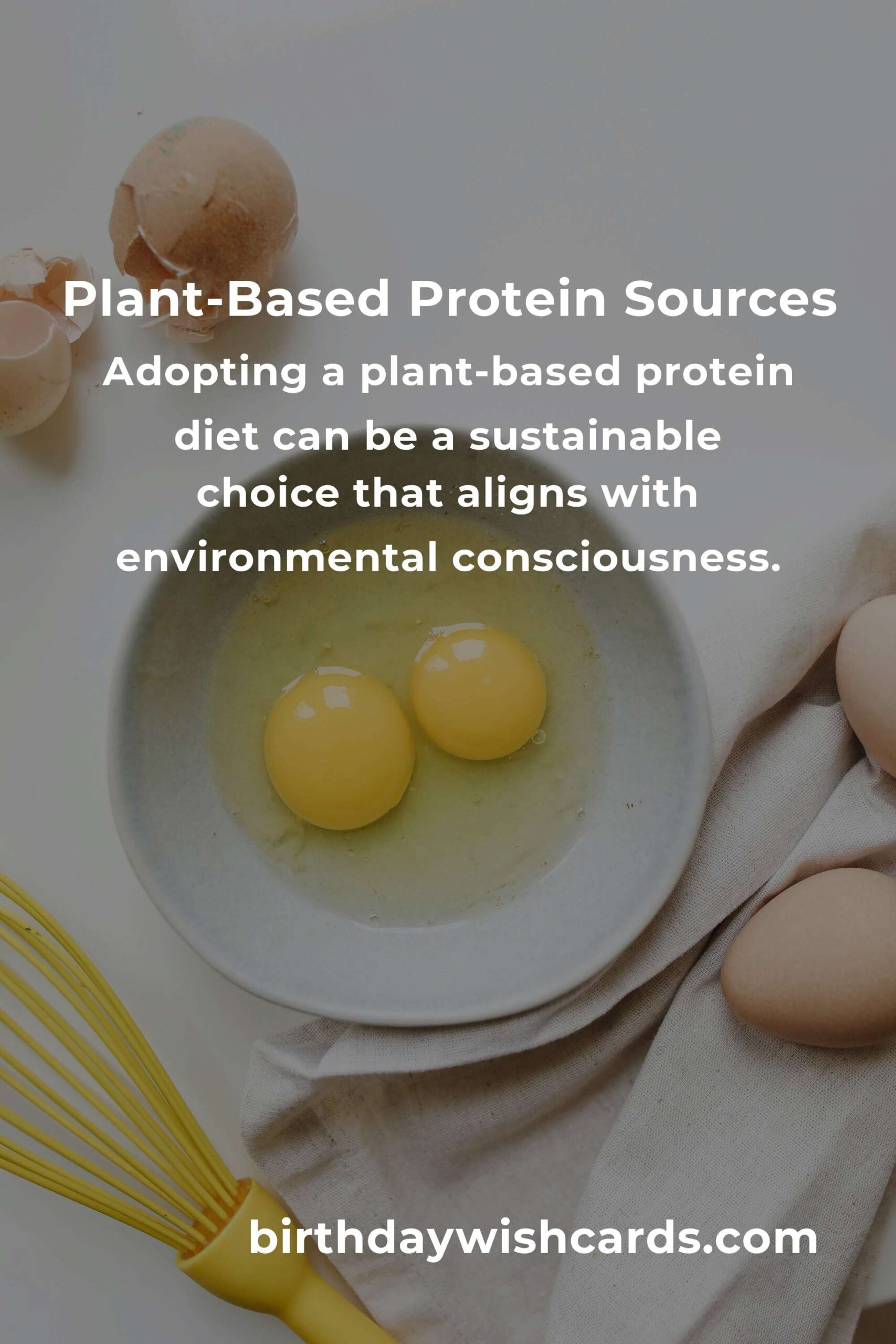 Healthy Plant-Based Protein Options for Small Business Owners