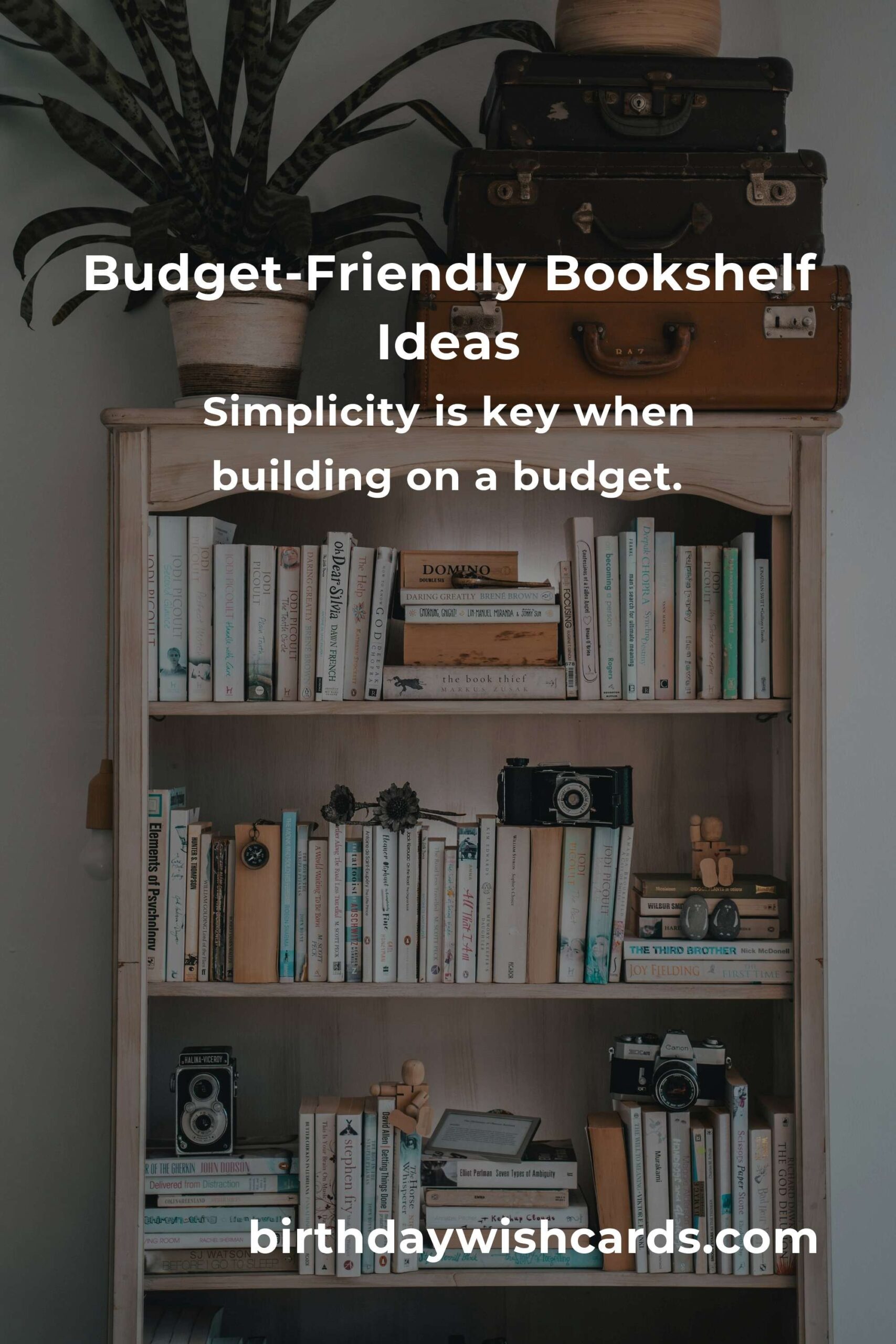 How to Build a Budget-Friendly Bookshelf in Tunis