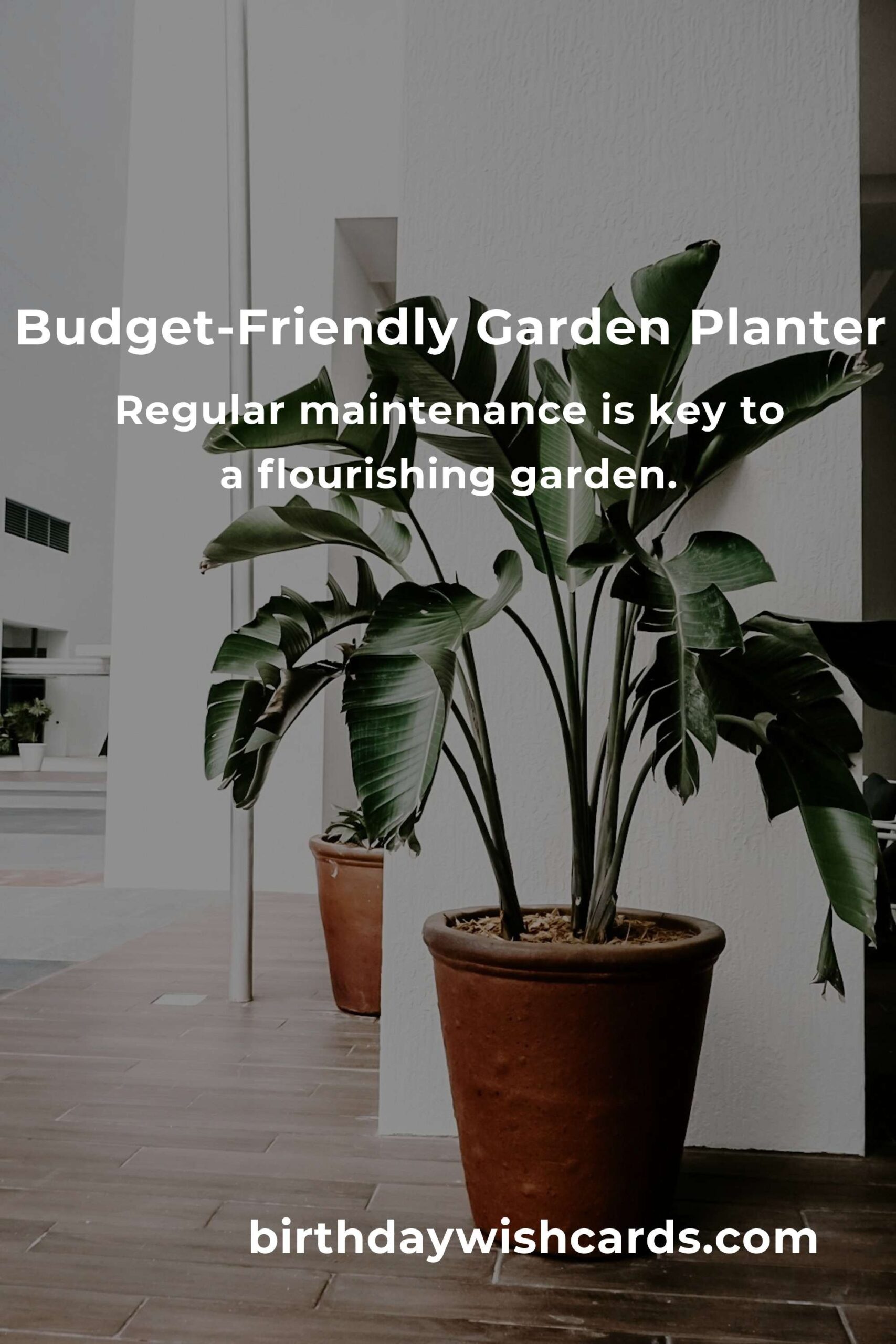 How to Build a Budget-Friendly Garden Planter in Berlin