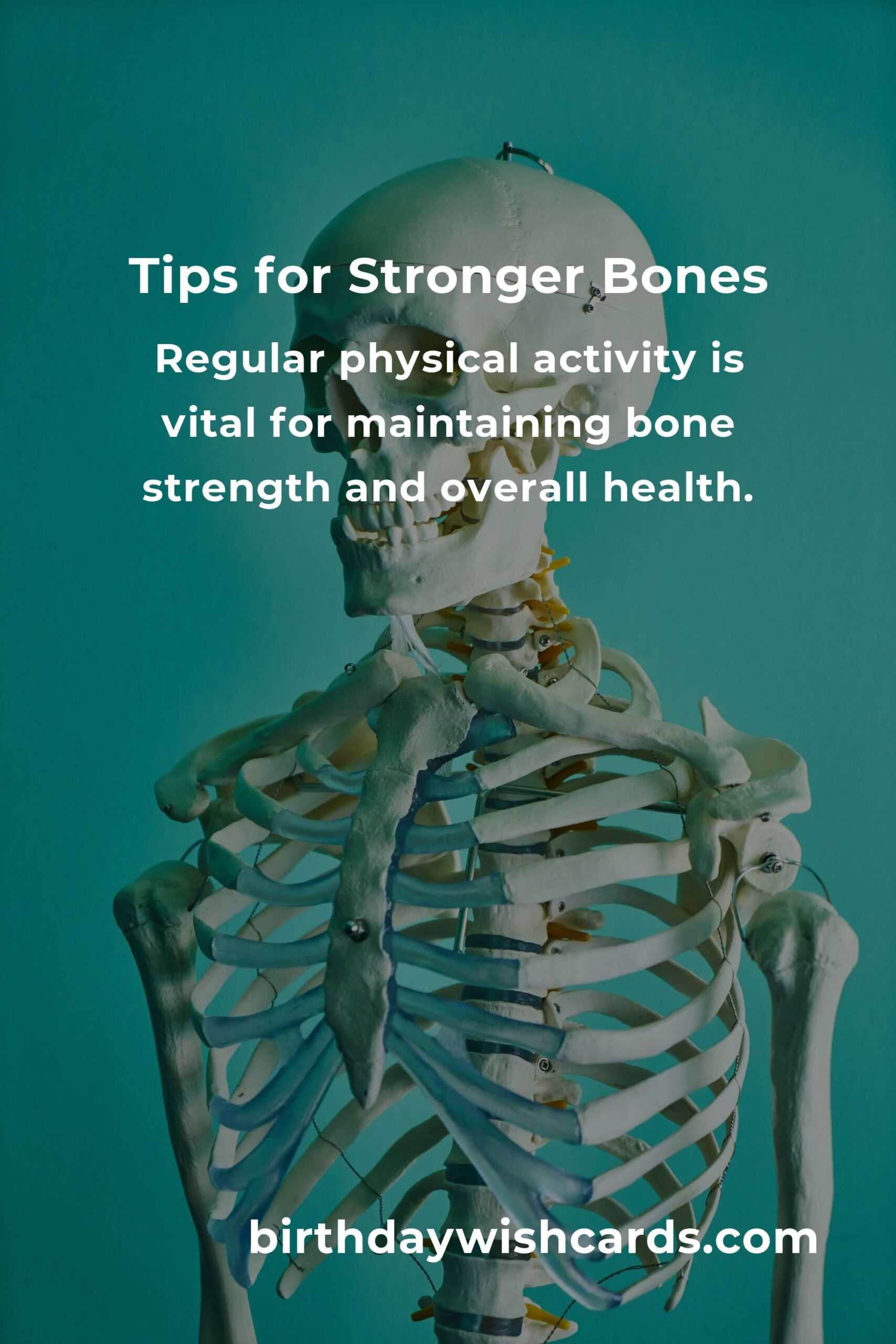How to Improve Bone Health for Seniors: Essential Tips and Strategies