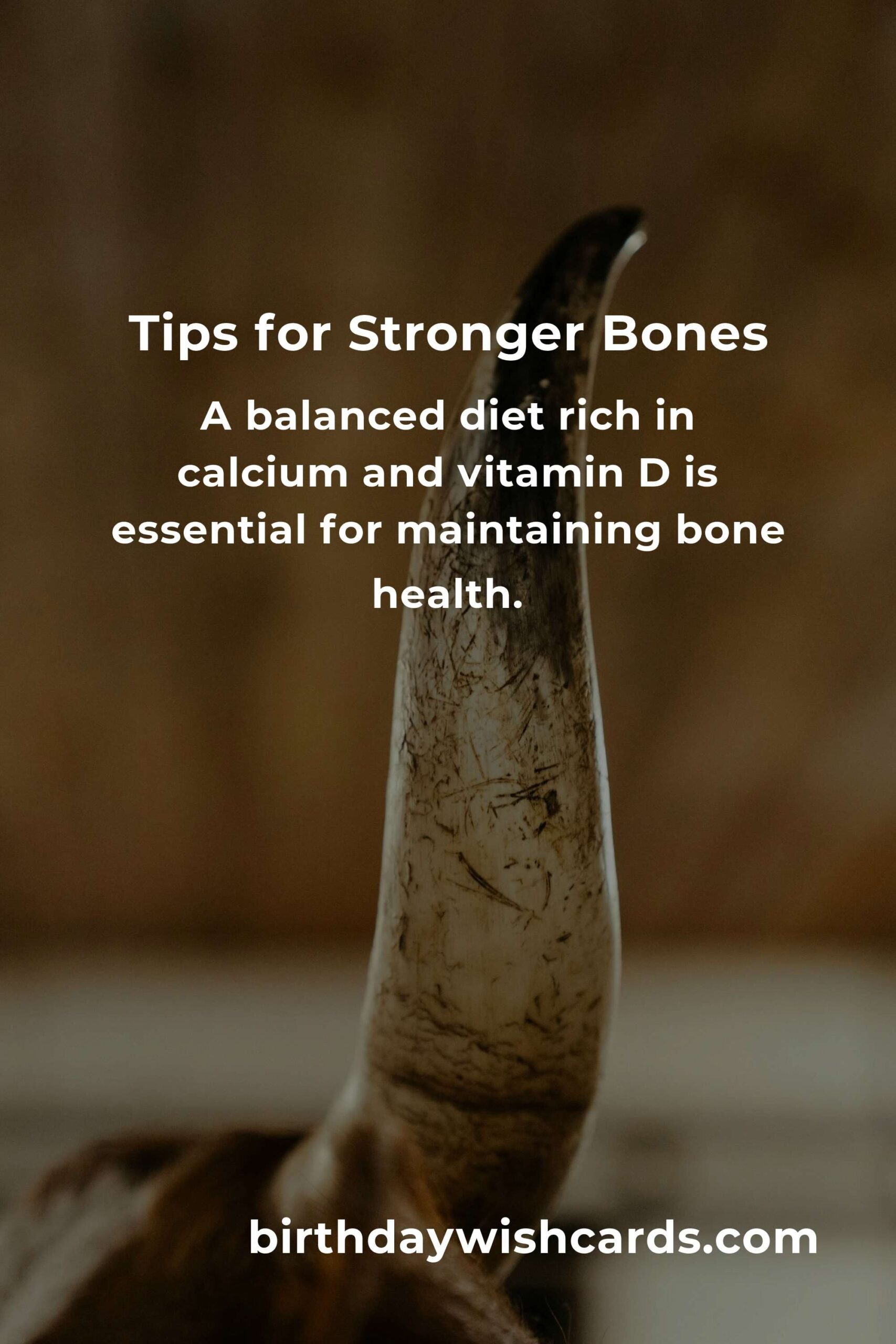 How to Improve Bone Health for Seniors: Essential Tips and Strategies