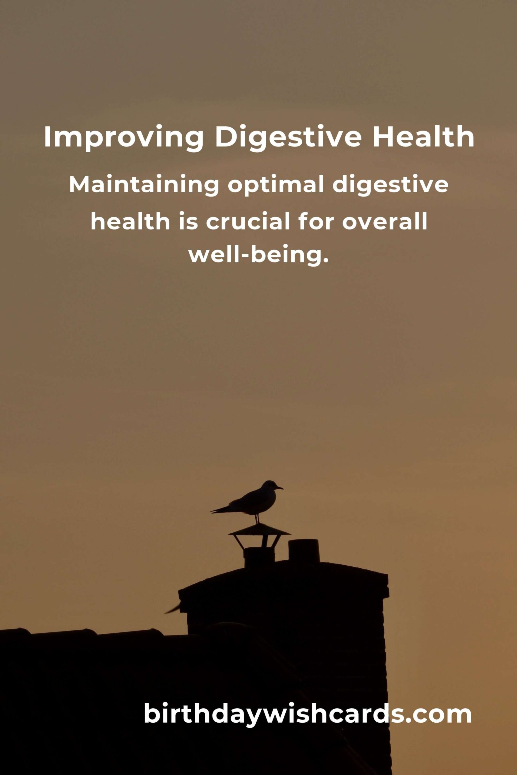 How to Improve Digestive Health for First-Time Buyers