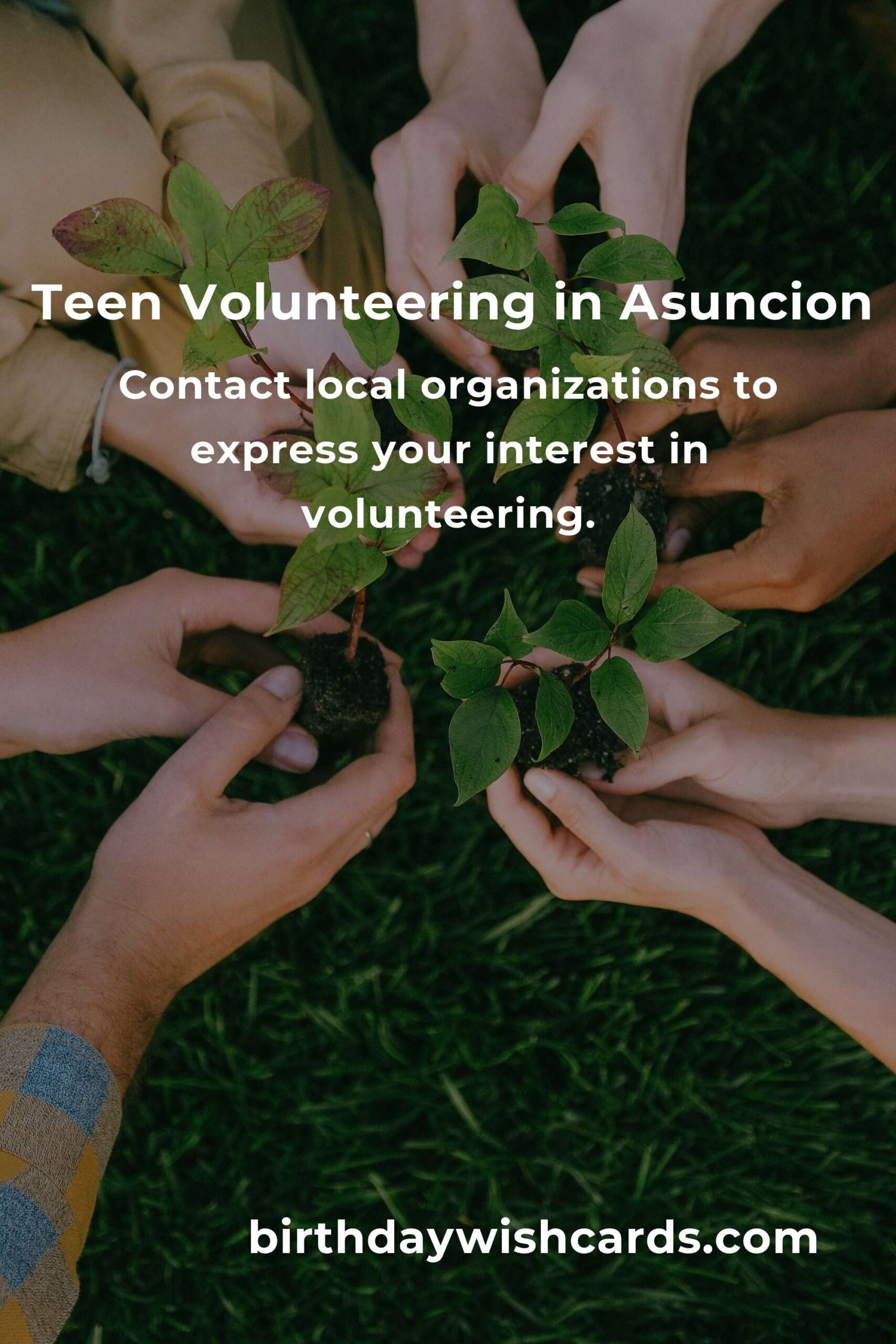How to Start Volunteering in Asuncion: A Comprehensive Guide for Teens