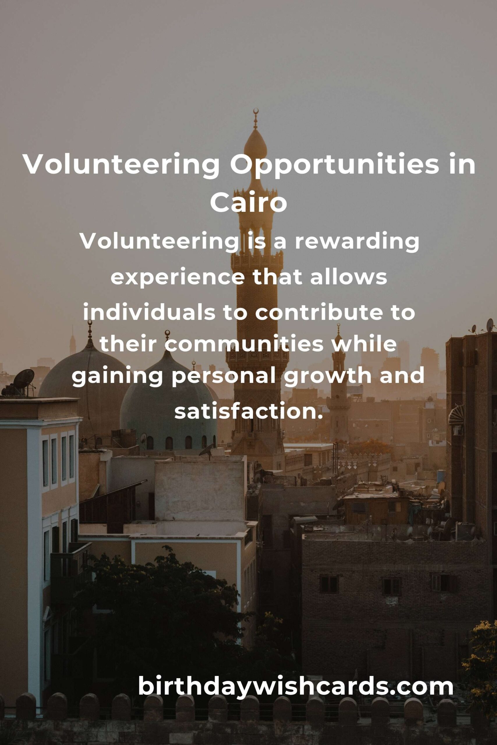 How to Start Volunteering in Cairo: A Comprehensive Guide for College Students