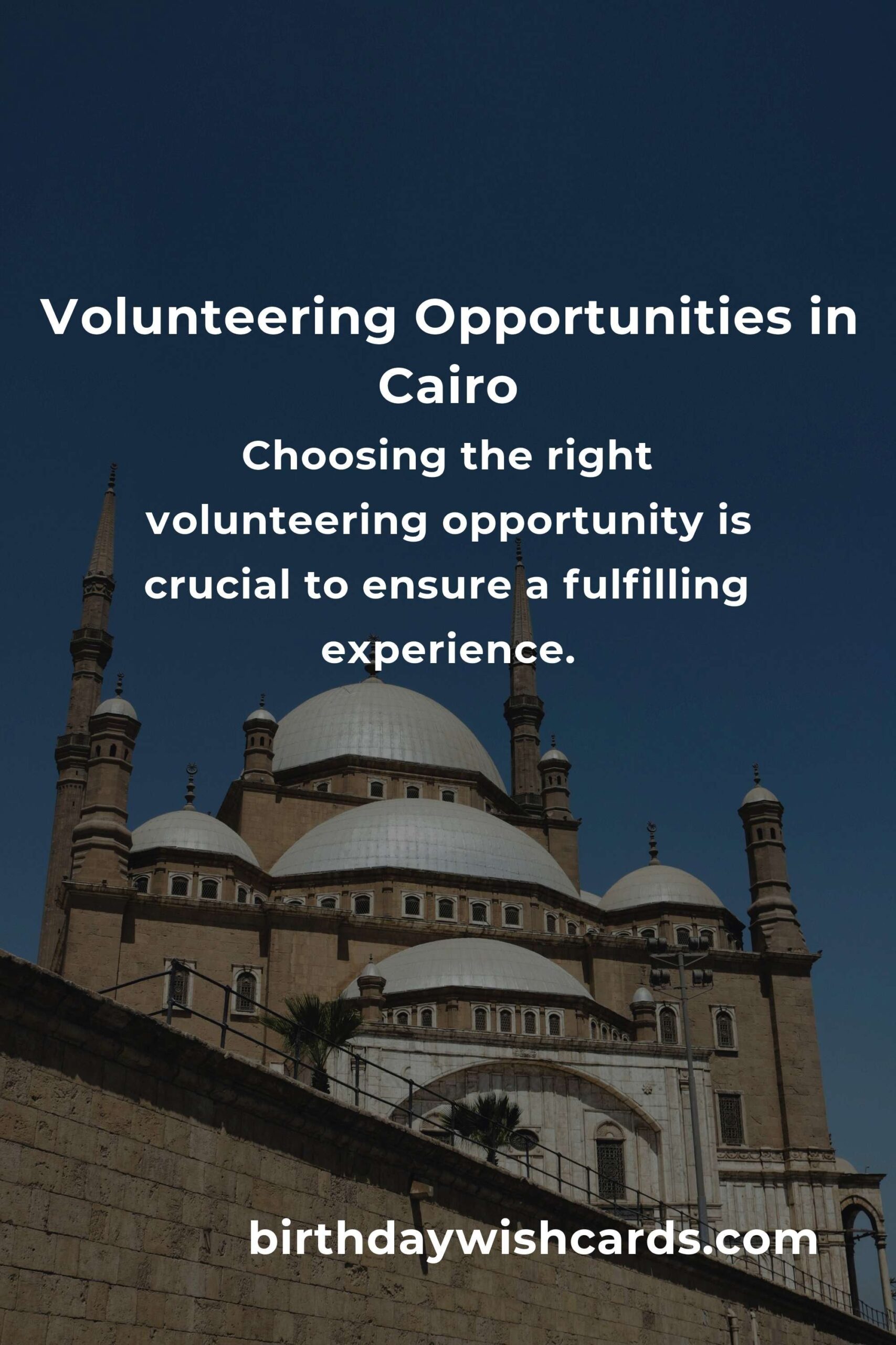 How to Start Volunteering in Cairo: A Comprehensive Guide for College Students