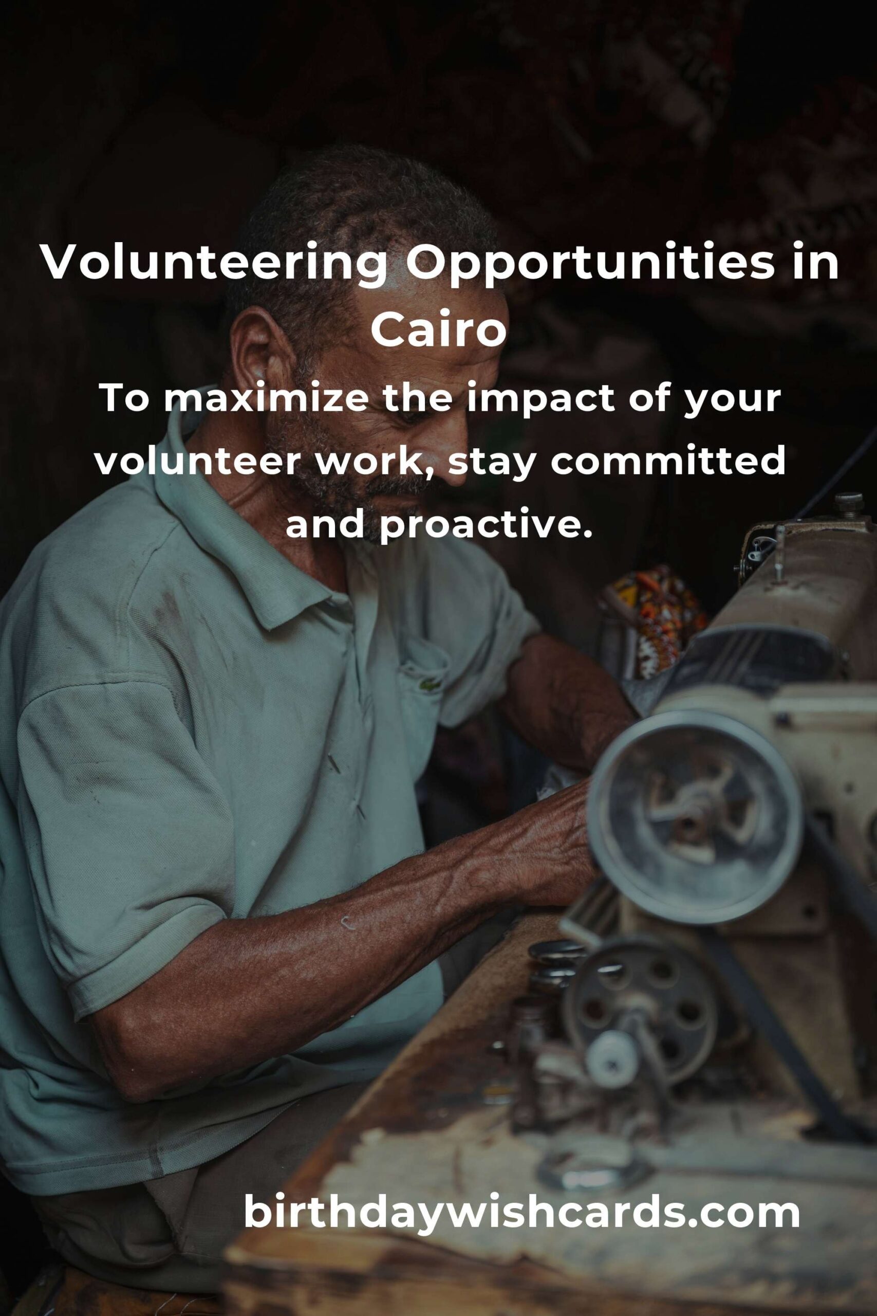How to Start Volunteering in Cairo: A Comprehensive Guide for College Students
