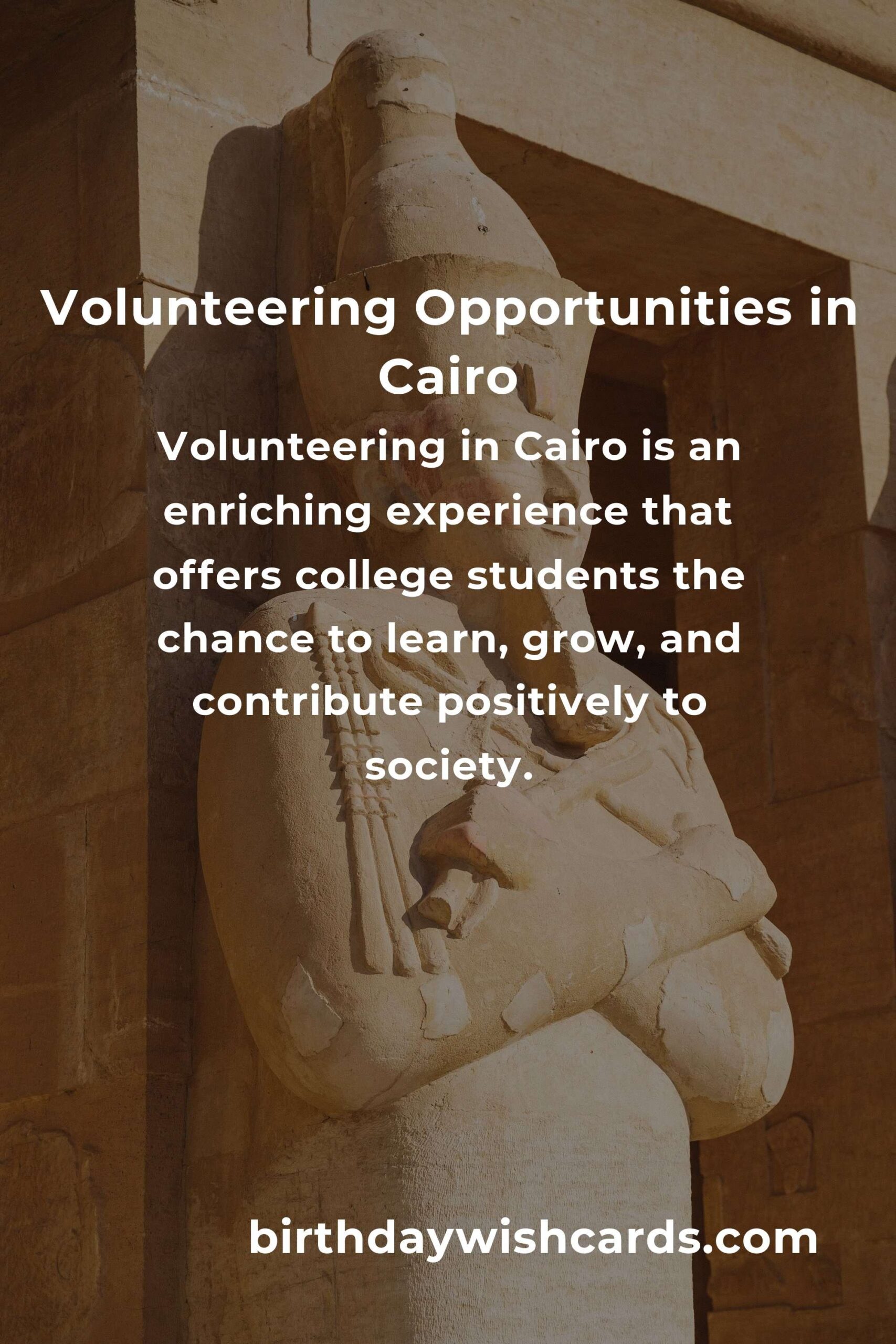 How to Start Volunteering in Cairo: A Comprehensive Guide for College Students