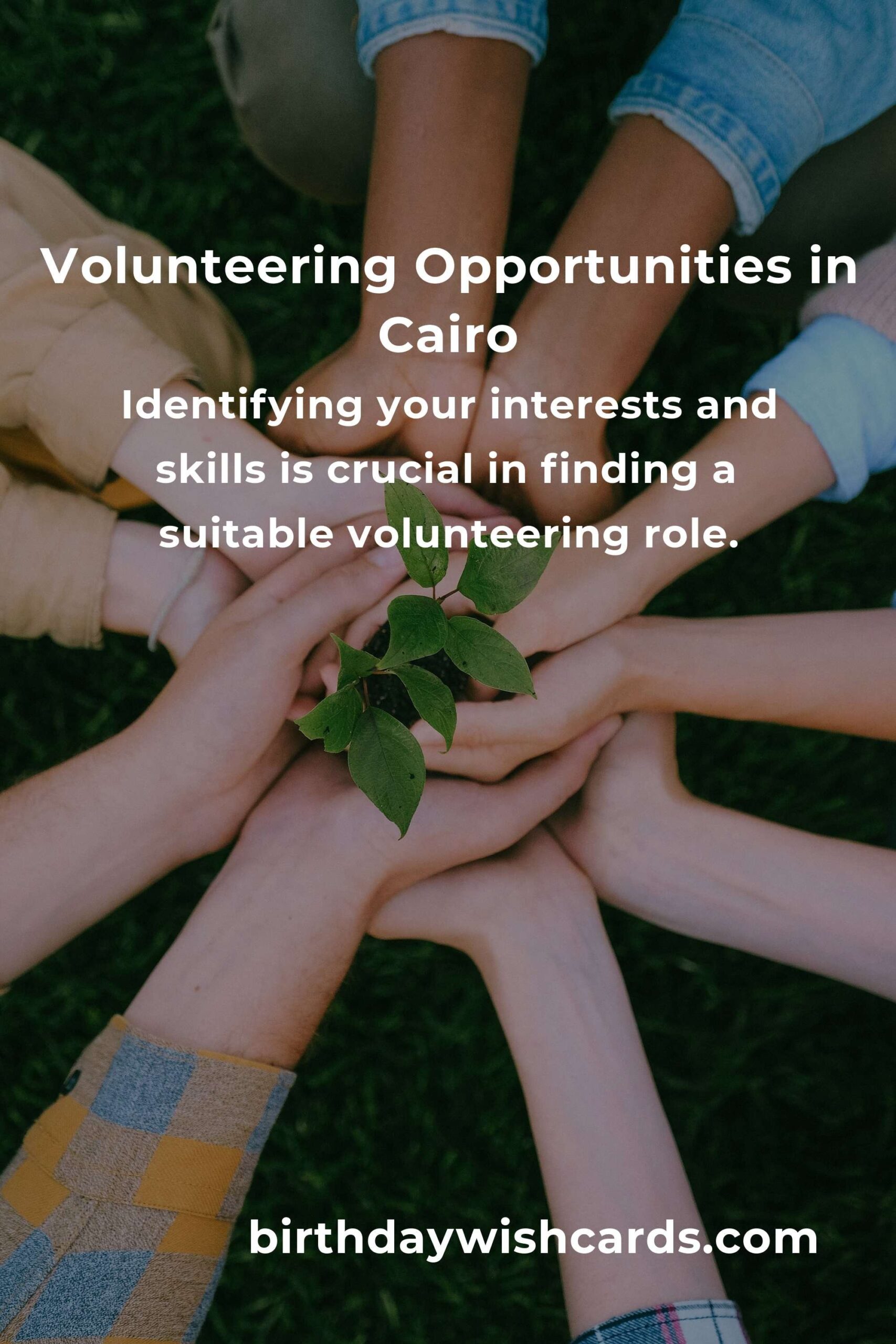How to Start Volunteering in Cairo: A Guide for New Parents