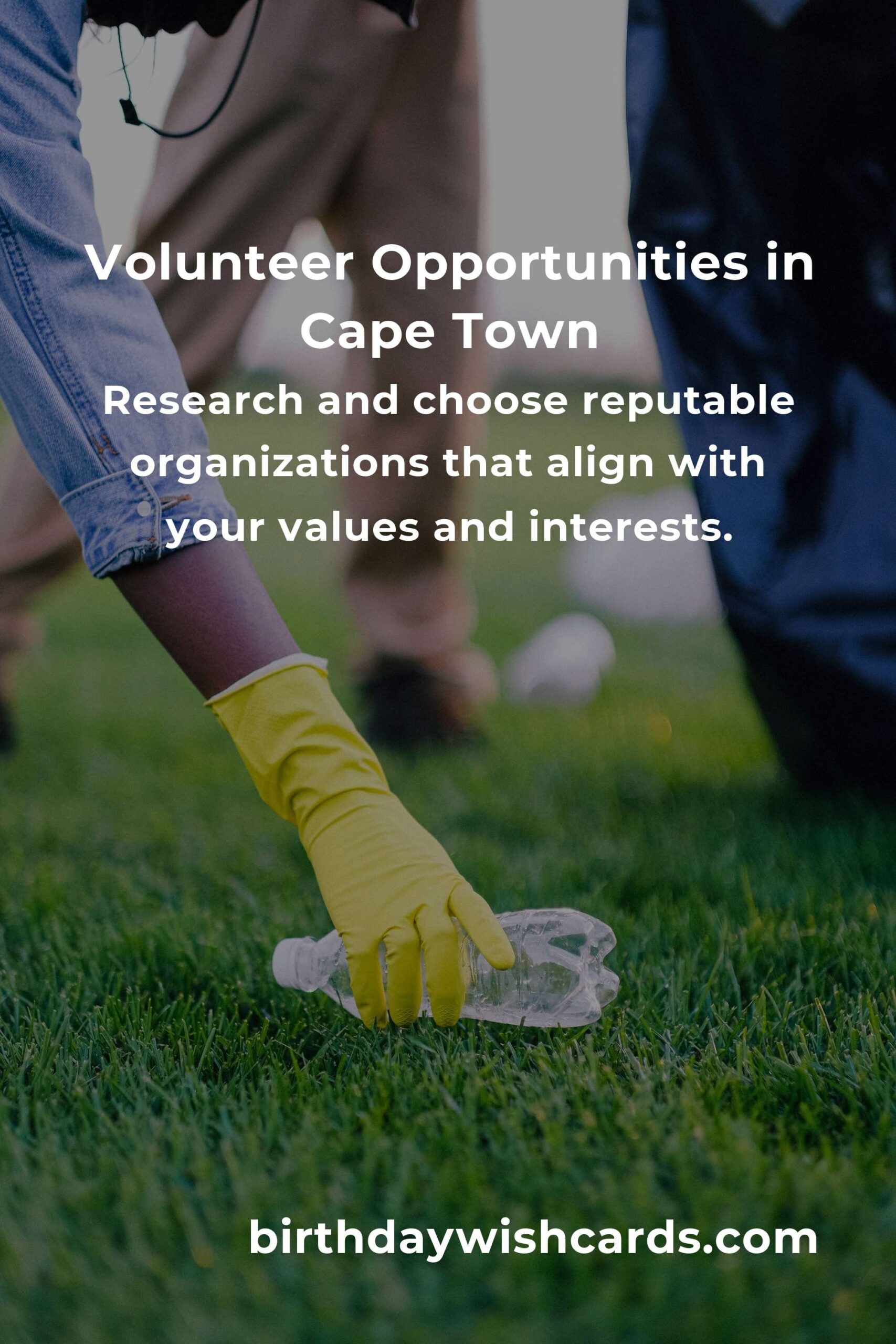 How to Start Volunteering in Cape Town: A Comprehensive Guide for First-Time Volunteers