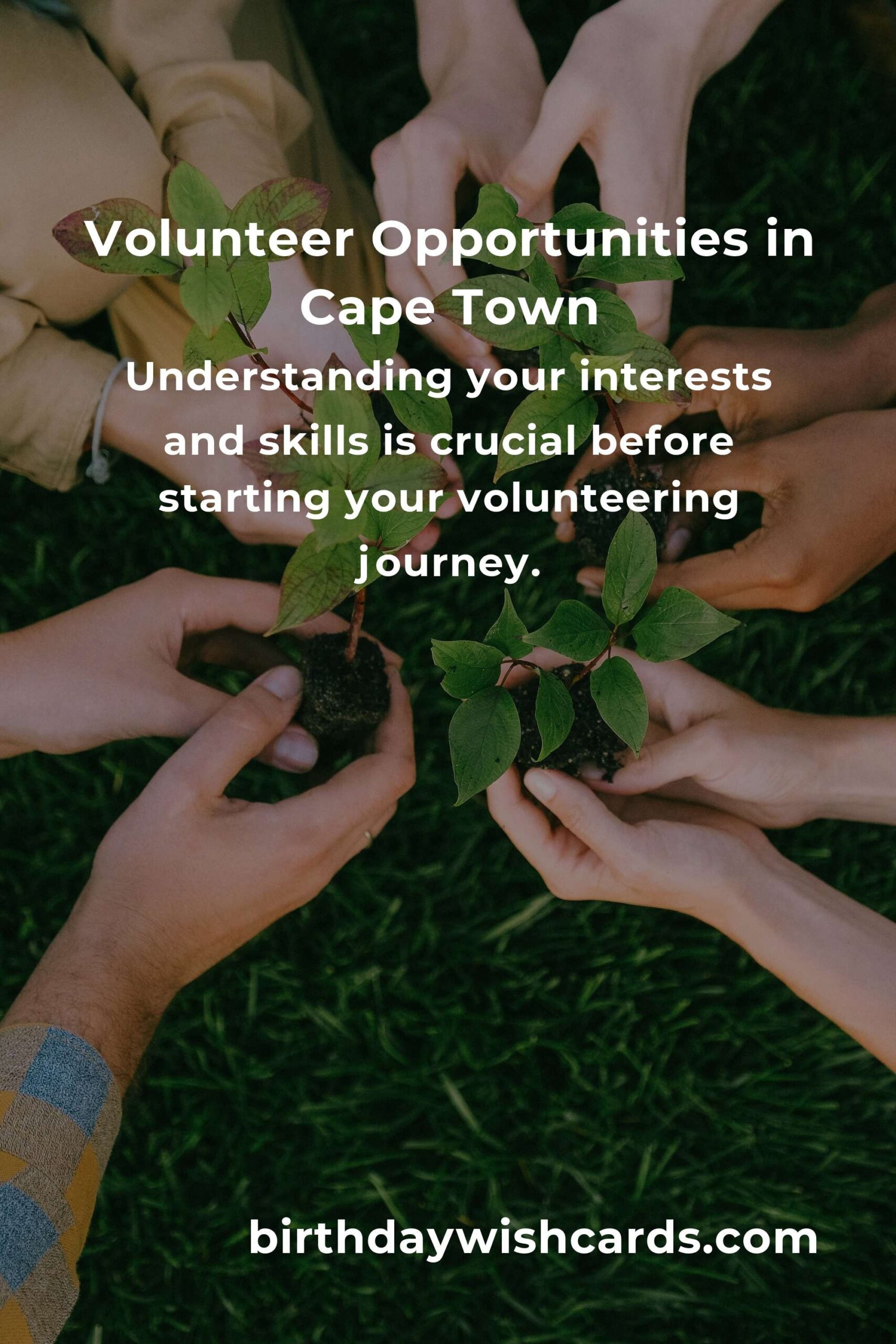 How to Start Volunteering in Cape Town: A Comprehensive Guide for First-Time Volunteers