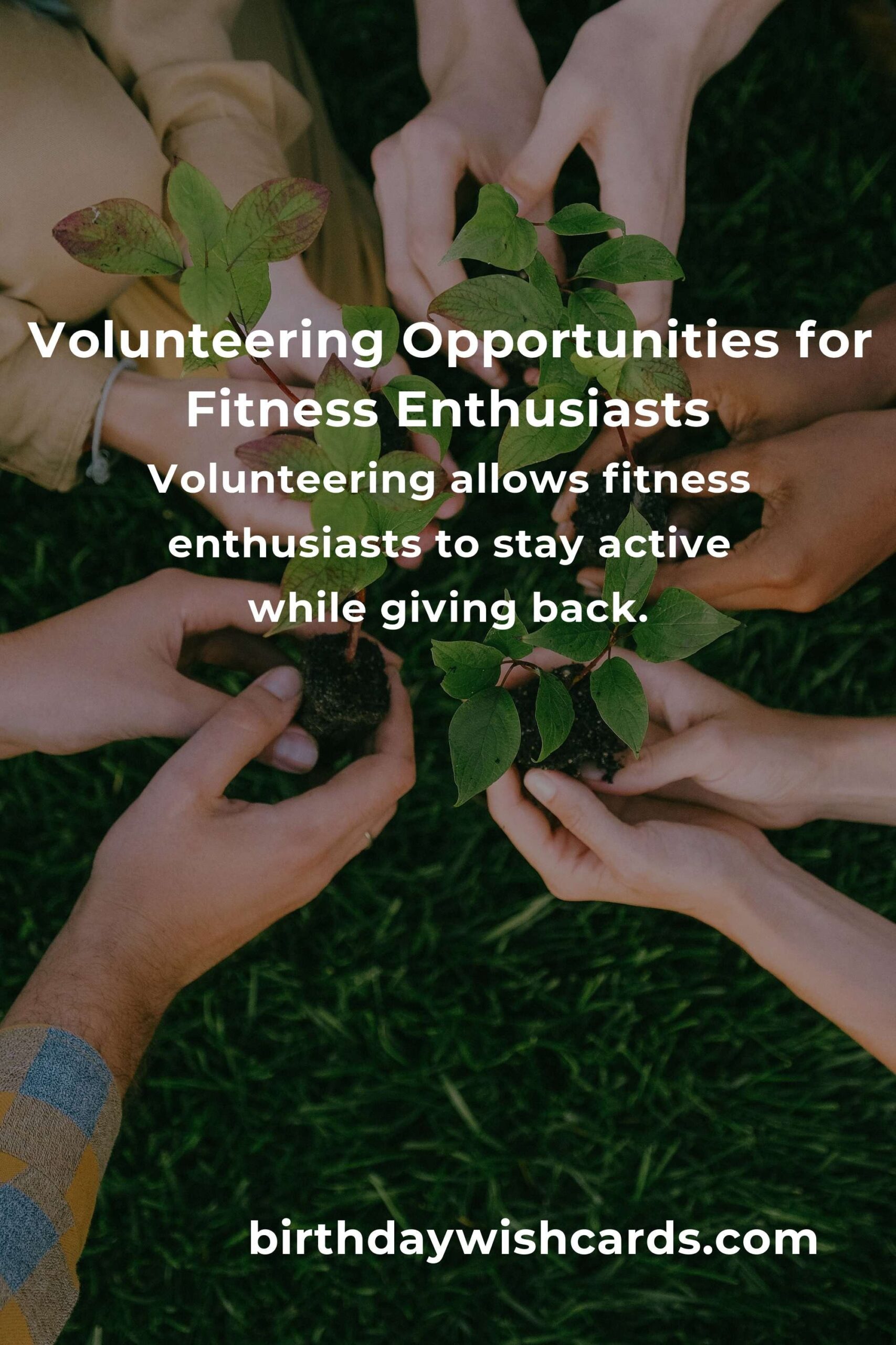 How to Start Volunteering in Helsinki: Guide for Fitness Enthusiasts
