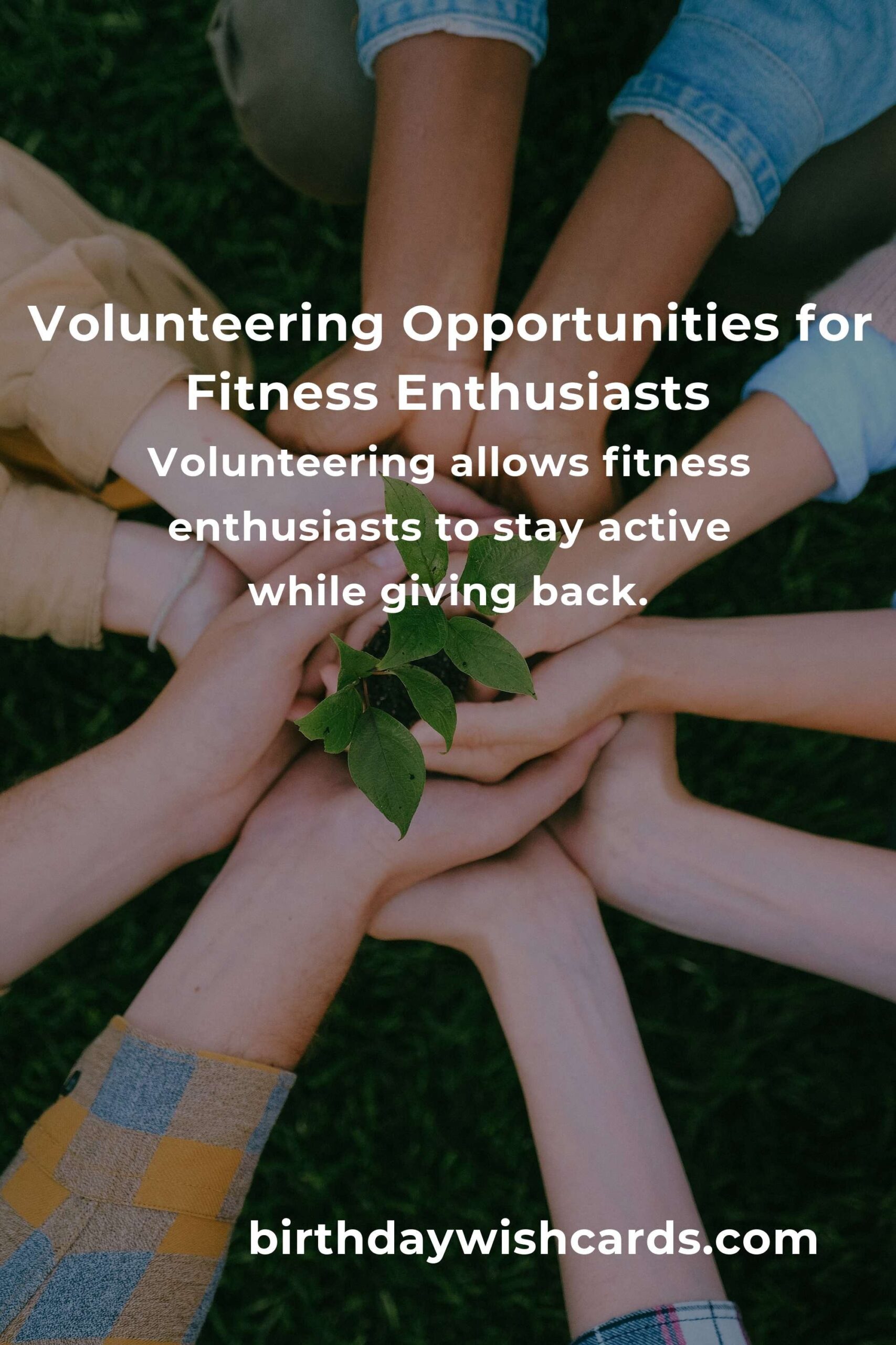 How to Start Volunteering in Helsinki: Guide for Fitness Enthusiasts