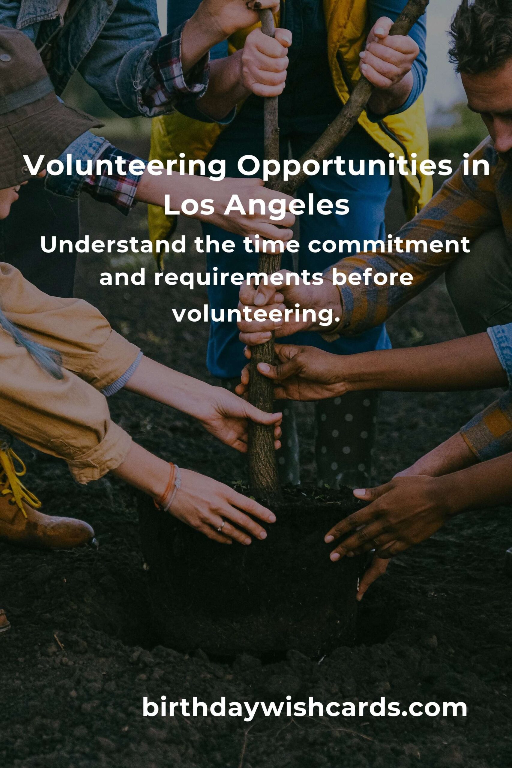 How to Start Volunteering in Los Angeles: A Retiree's Guide