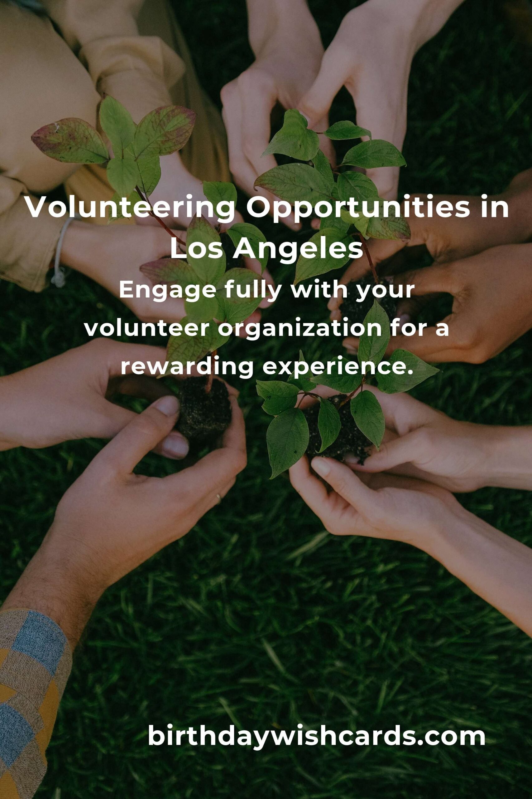 How to Start Volunteering in Los Angeles: A Retiree's Guide