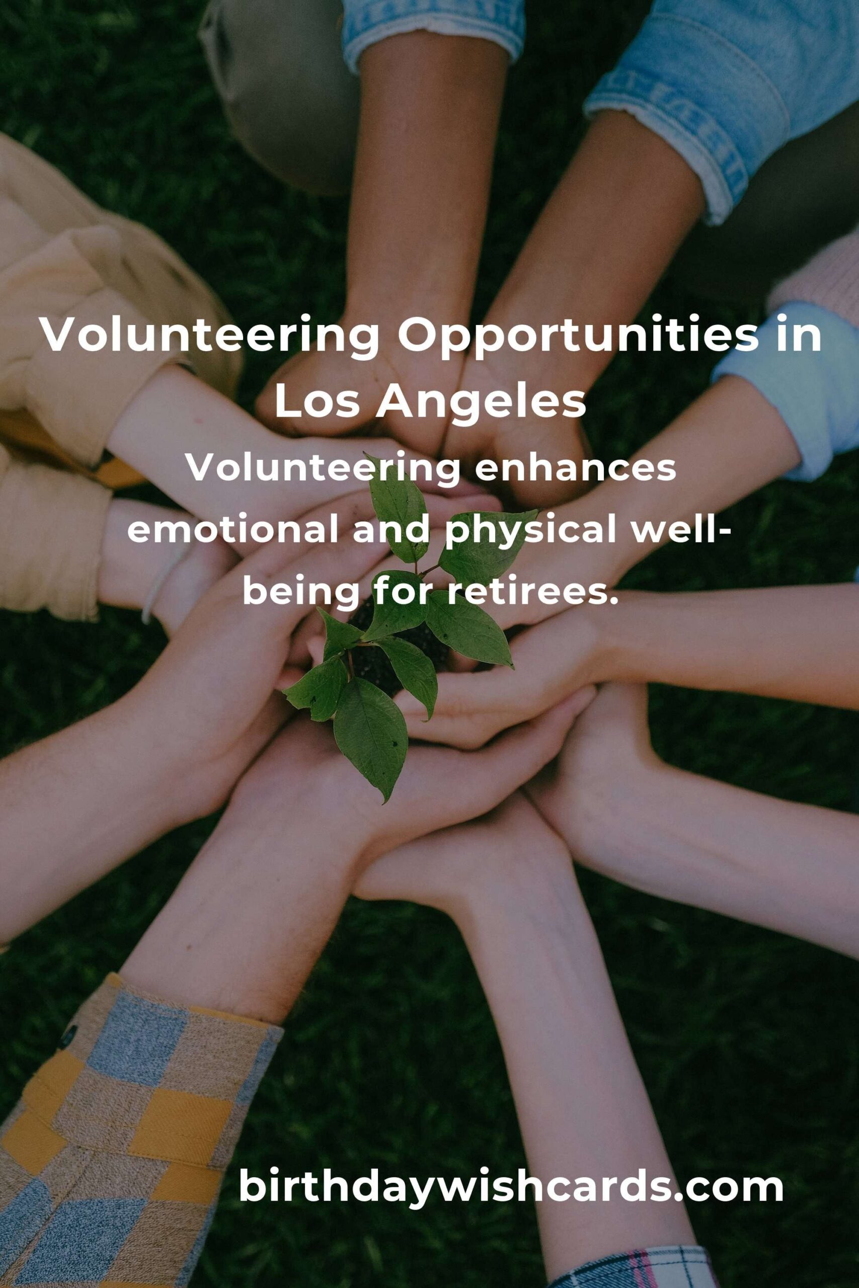 How to Start Volunteering in Los Angeles: A Retiree's Guide