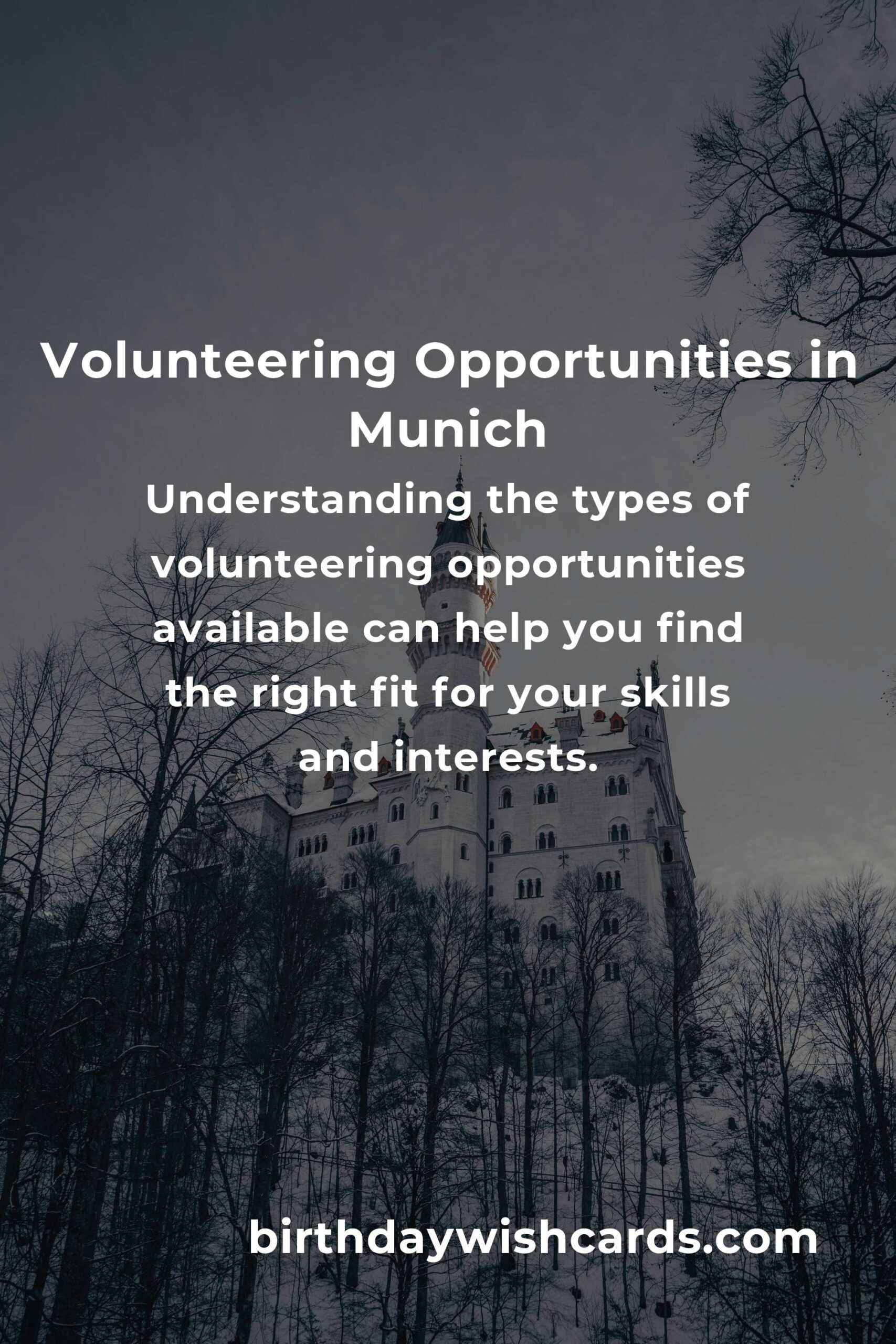 How to Start Volunteering in Munich: A Complete Guide for Empty Nesters
