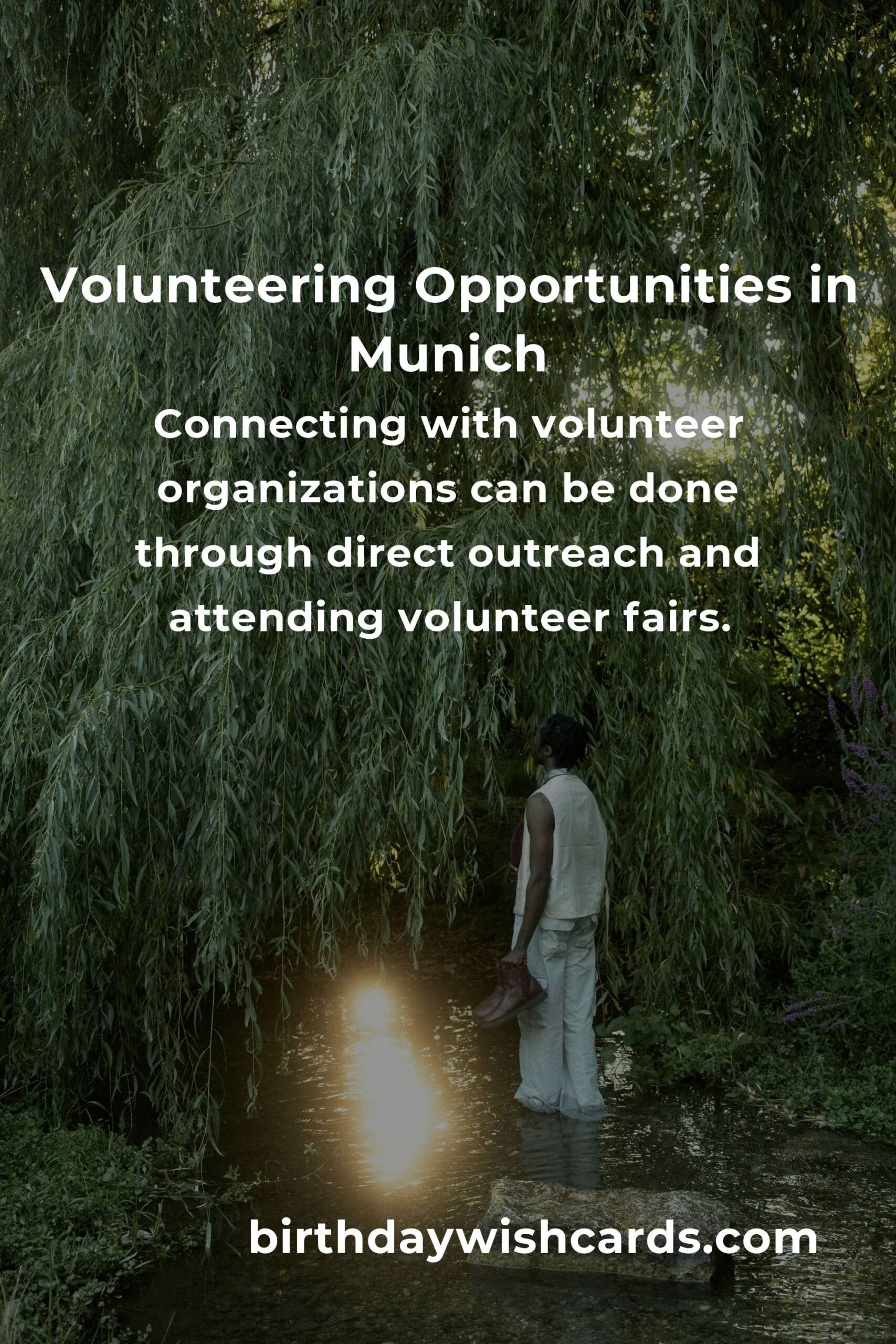 How to Start Volunteering in Munich: A Complete Guide for Empty Nesters