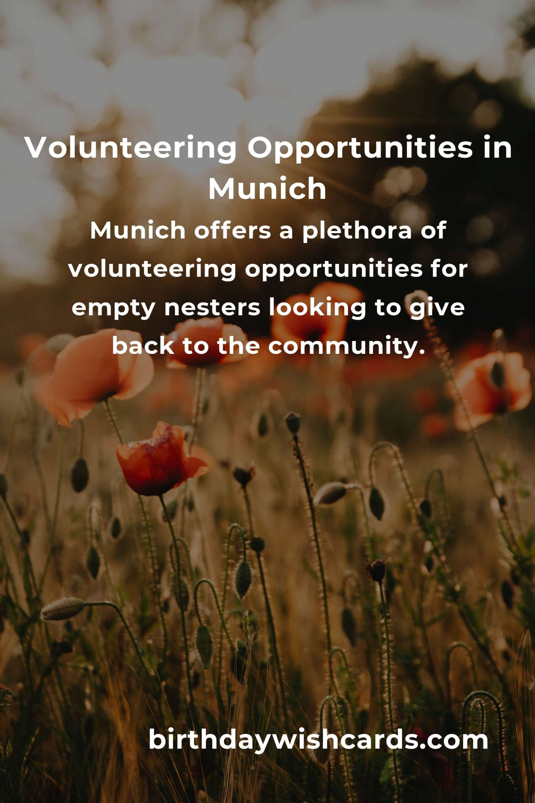 How to Start Volunteering in Munich: A Complete Guide for Empty Nesters
