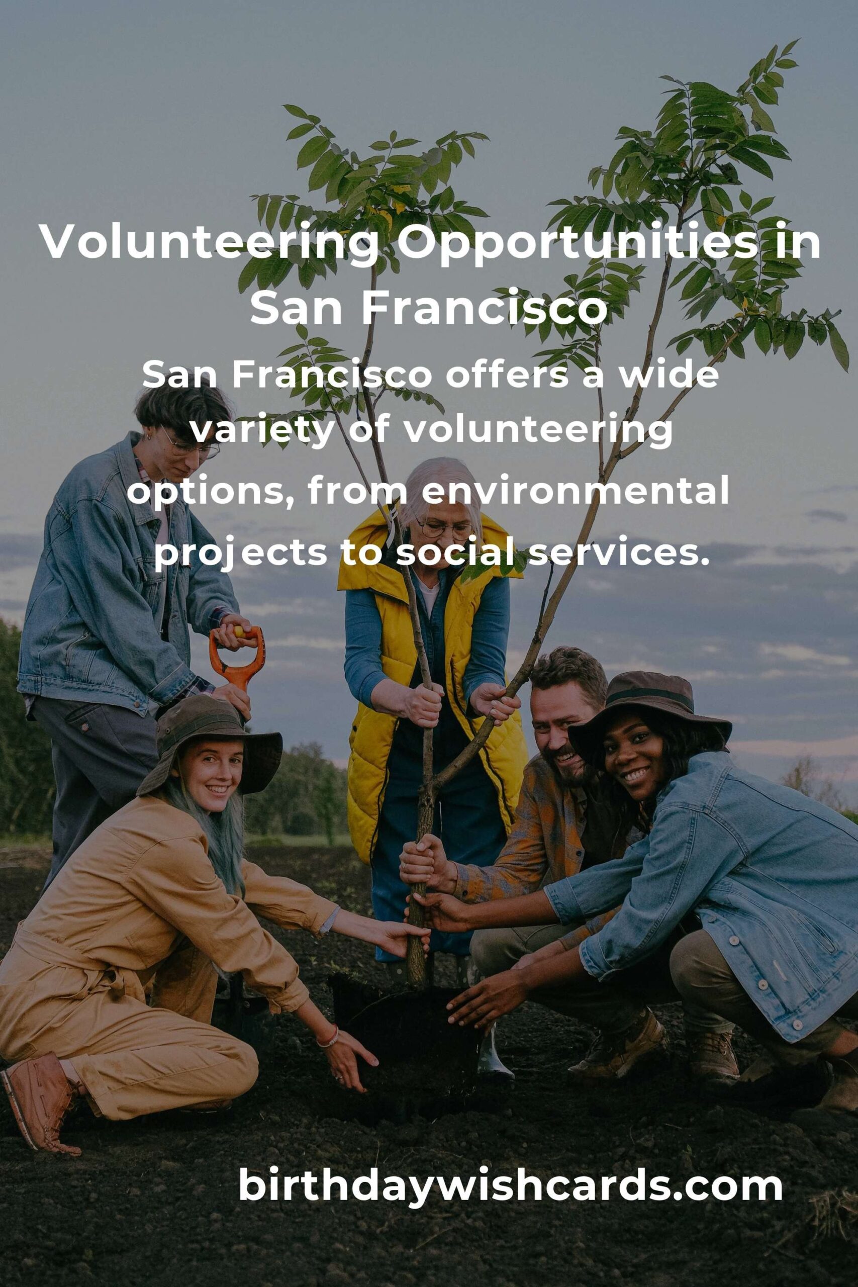 How to Start Volunteering in San Francisco: A Comprehensive Guide for Remote Workers
