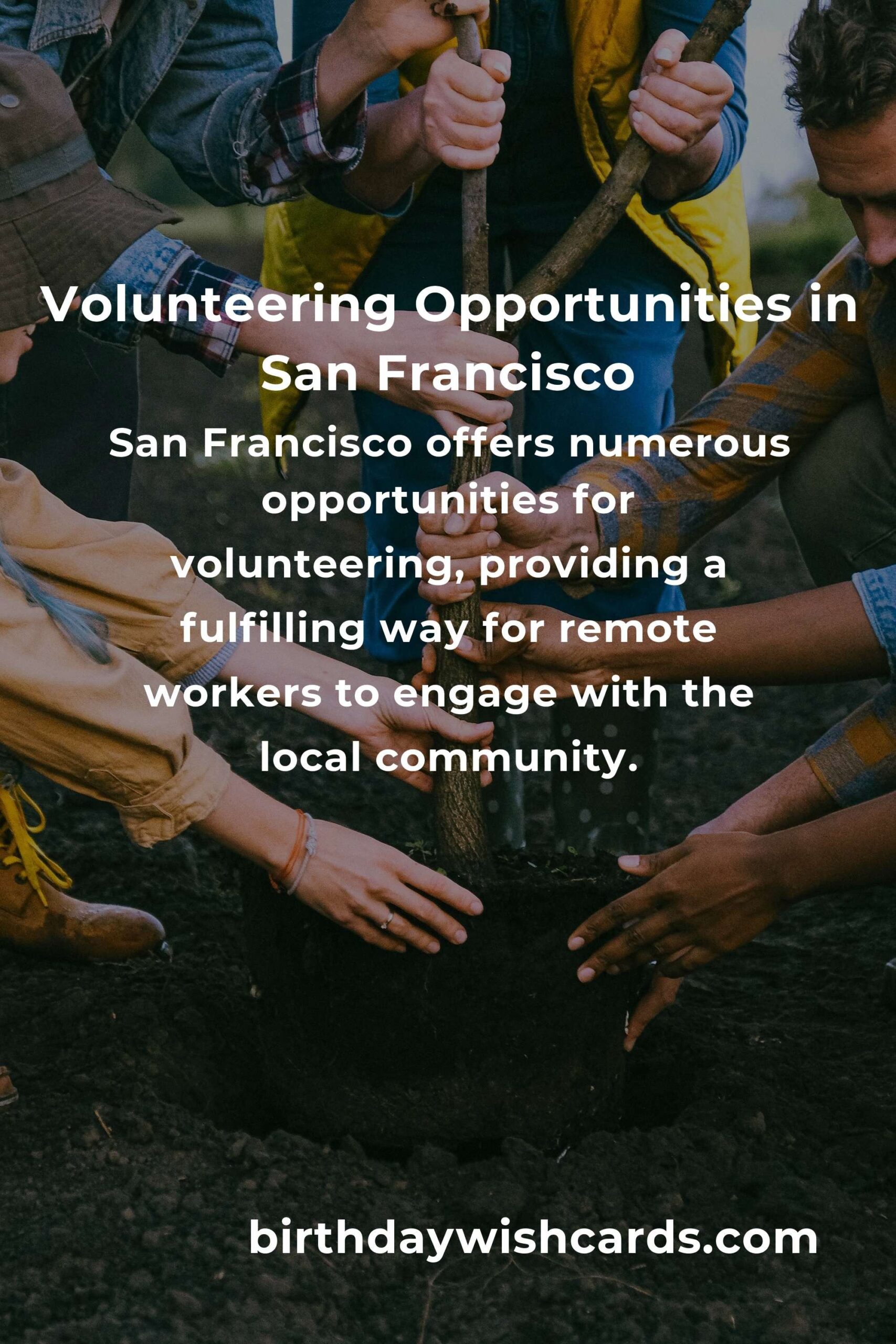 How to Start Volunteering in San Francisco: A Comprehensive Guide for Remote Workers