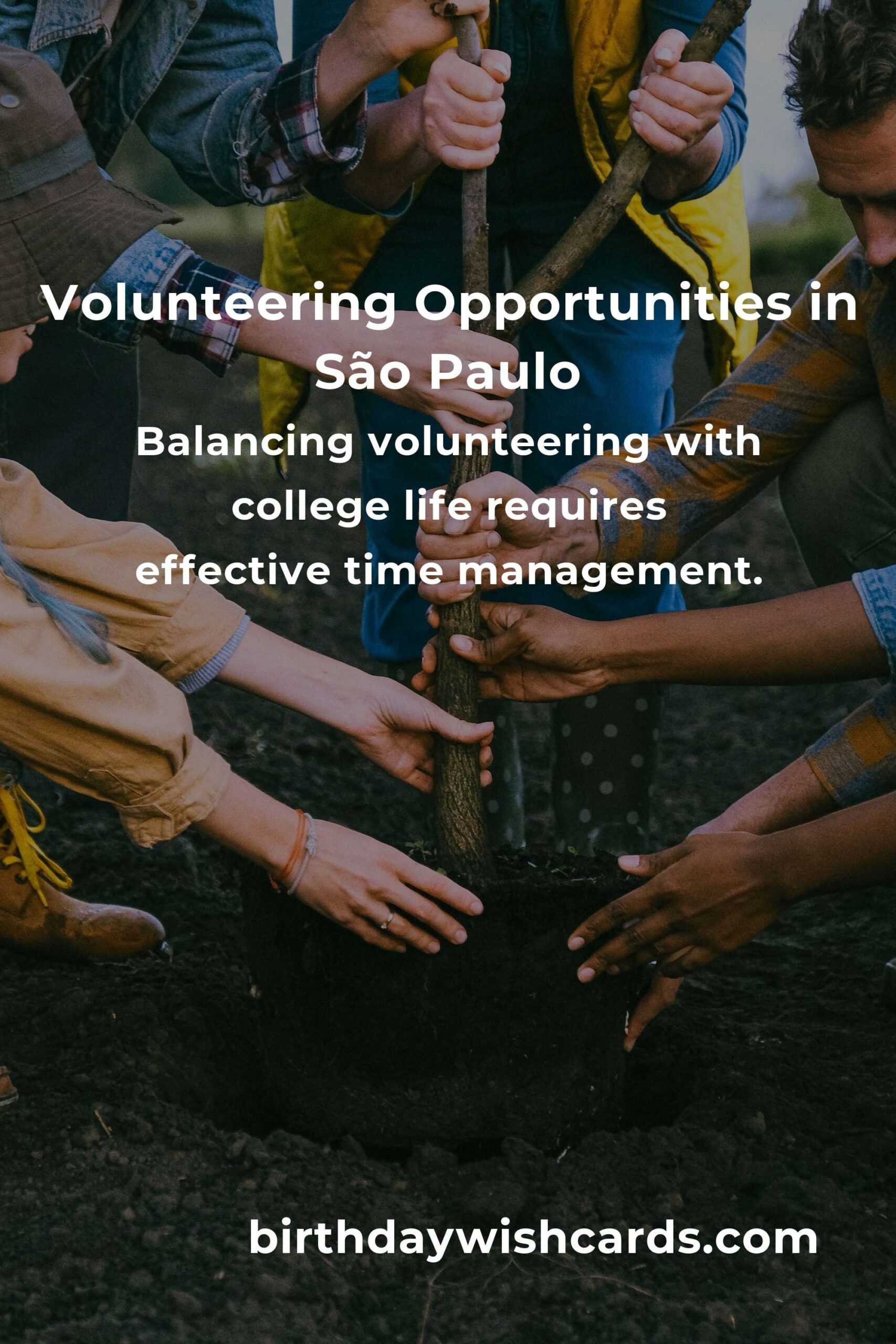 How to Start Volunteering in São Paulo: A Comprehensive Guide for College Students
