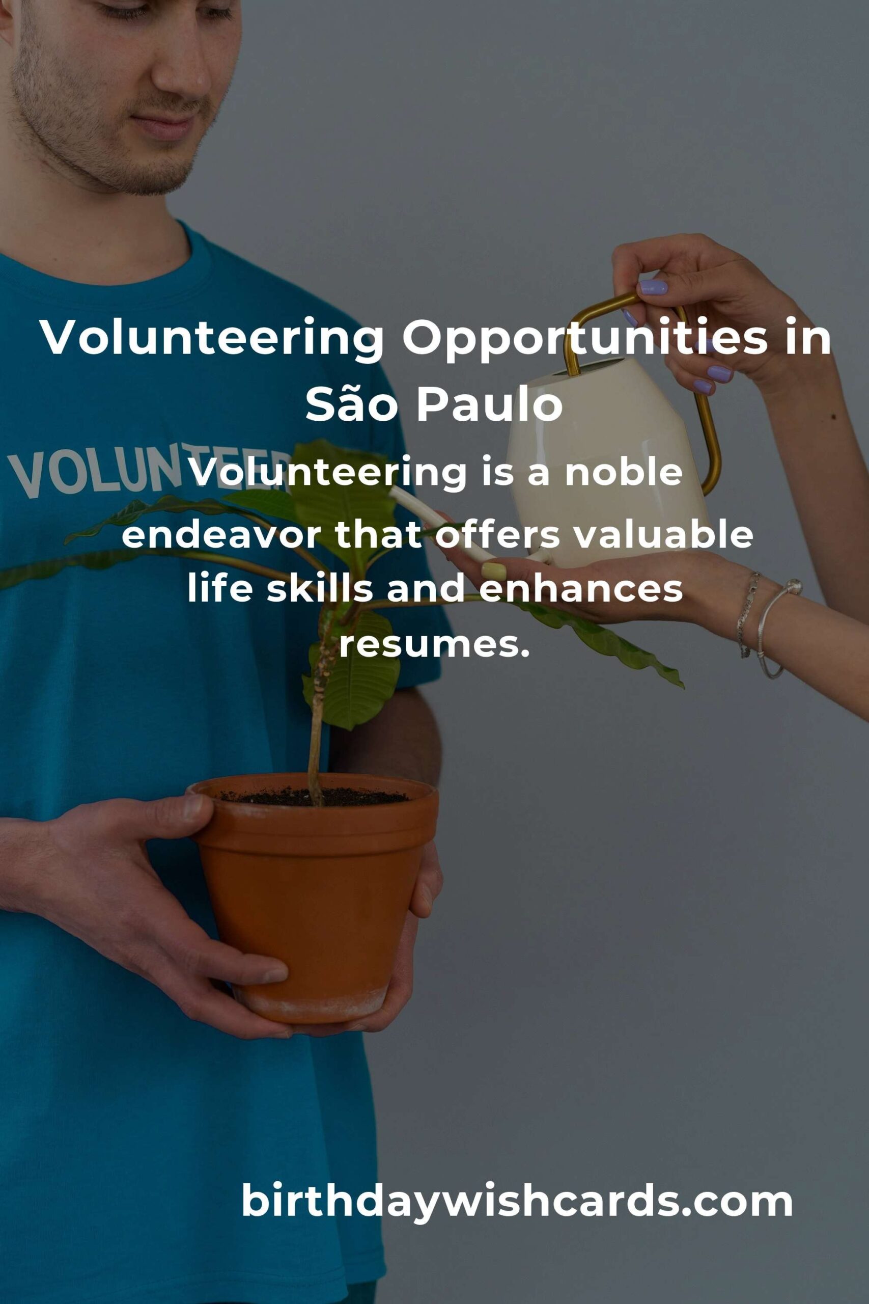 How to Start Volunteering in São Paulo: A Comprehensive Guide for College Students